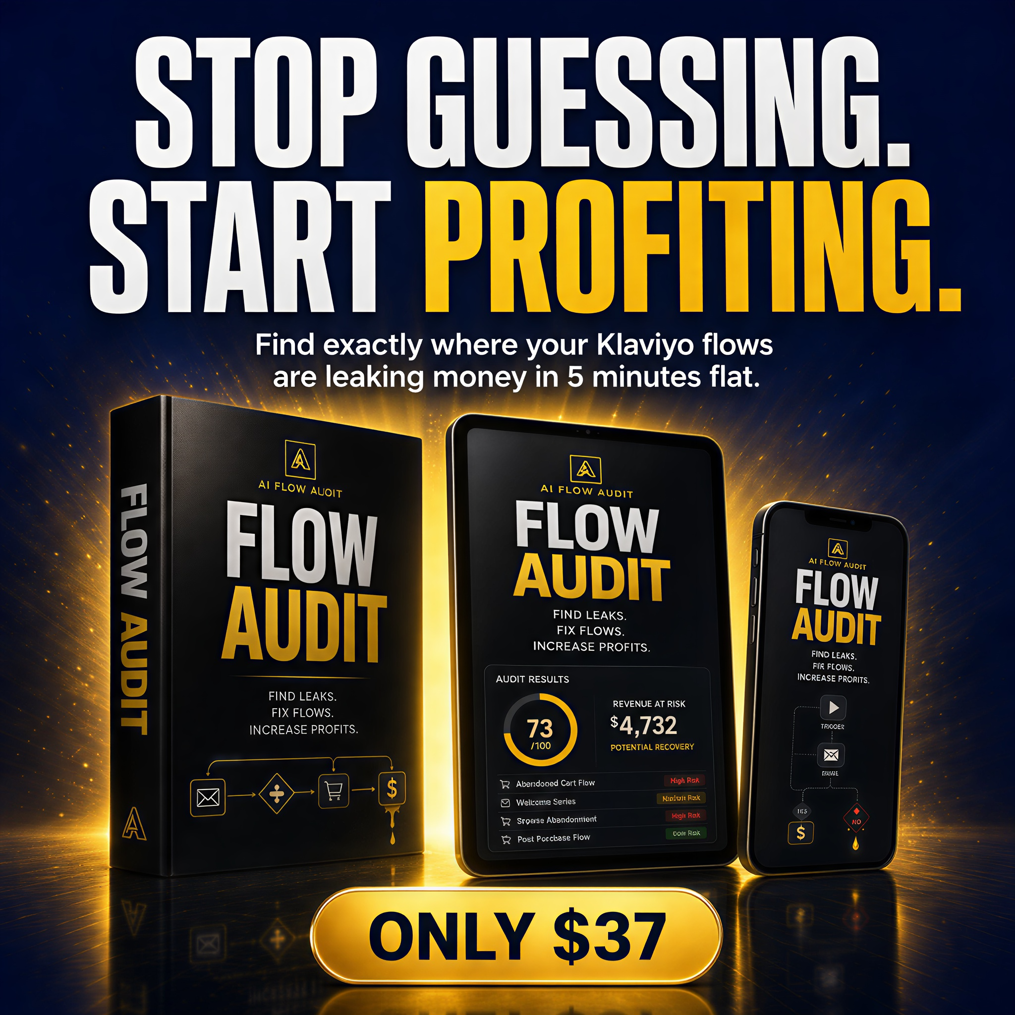 Steven Bell - Email Profits Facebook ad: Get The AI Flow Audit
