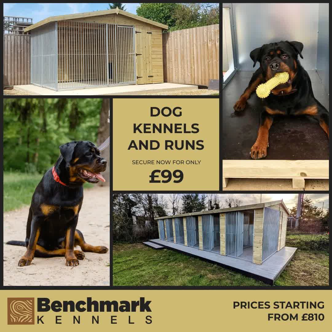 BM Kennels LTD Facebook ad