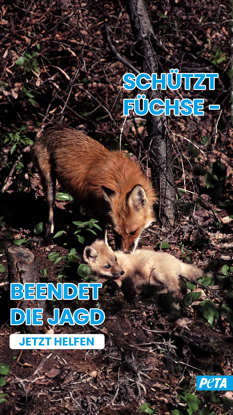 PETA Deutschland Facebook ad from Jan 23, 2026