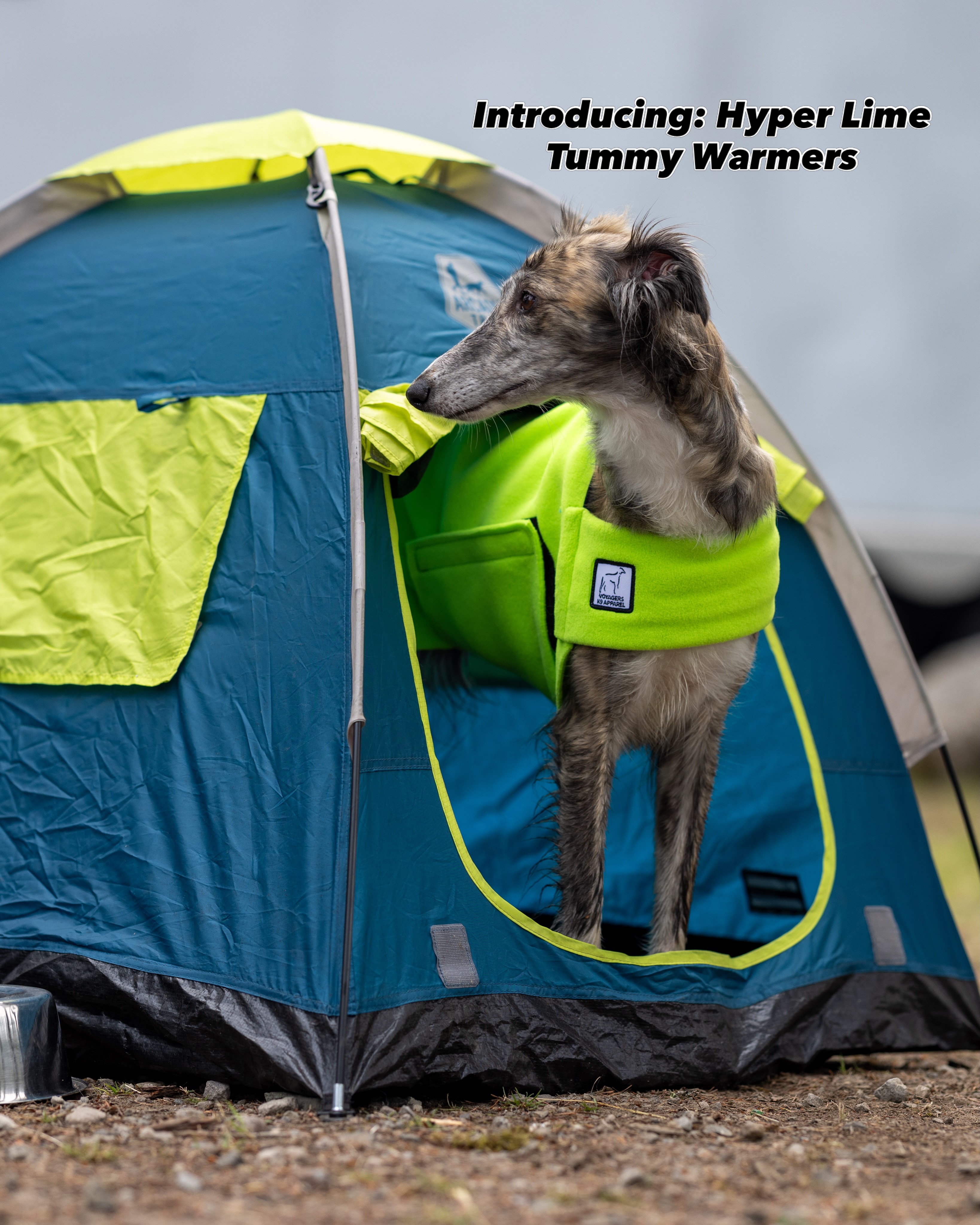Voyagers K9 Apparel Facebook ad
