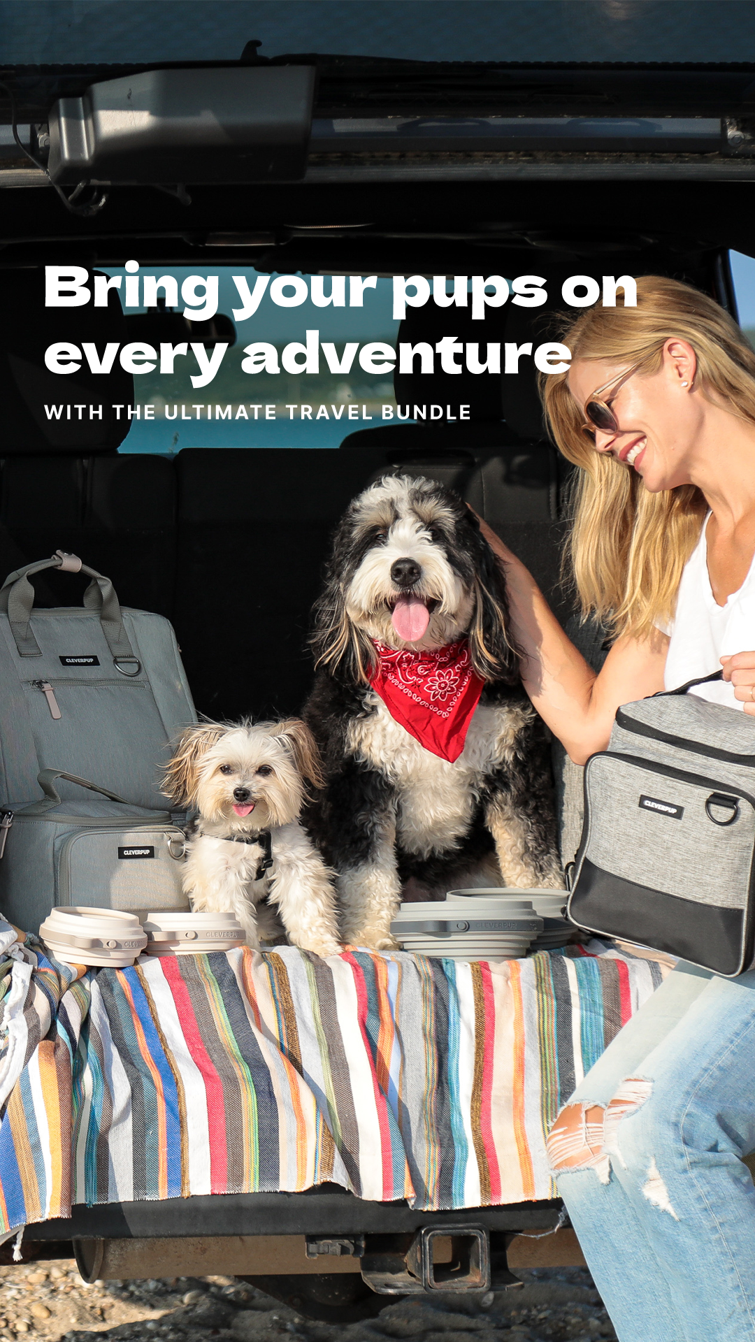 Cleverpup Facebook ad