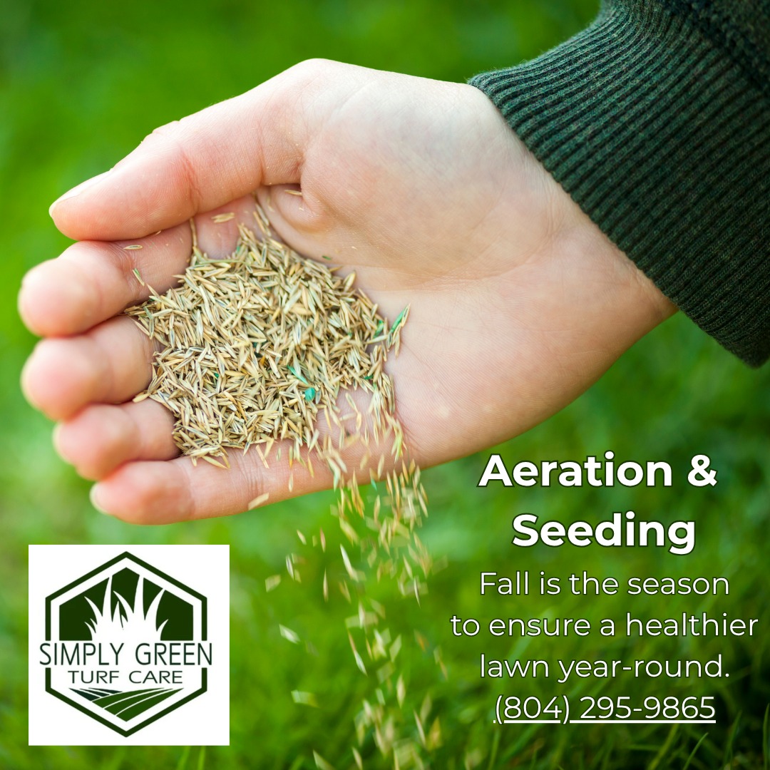 Simply Green Turf Care Facebook ad: If you want a thicker, greener, healthier lawn…