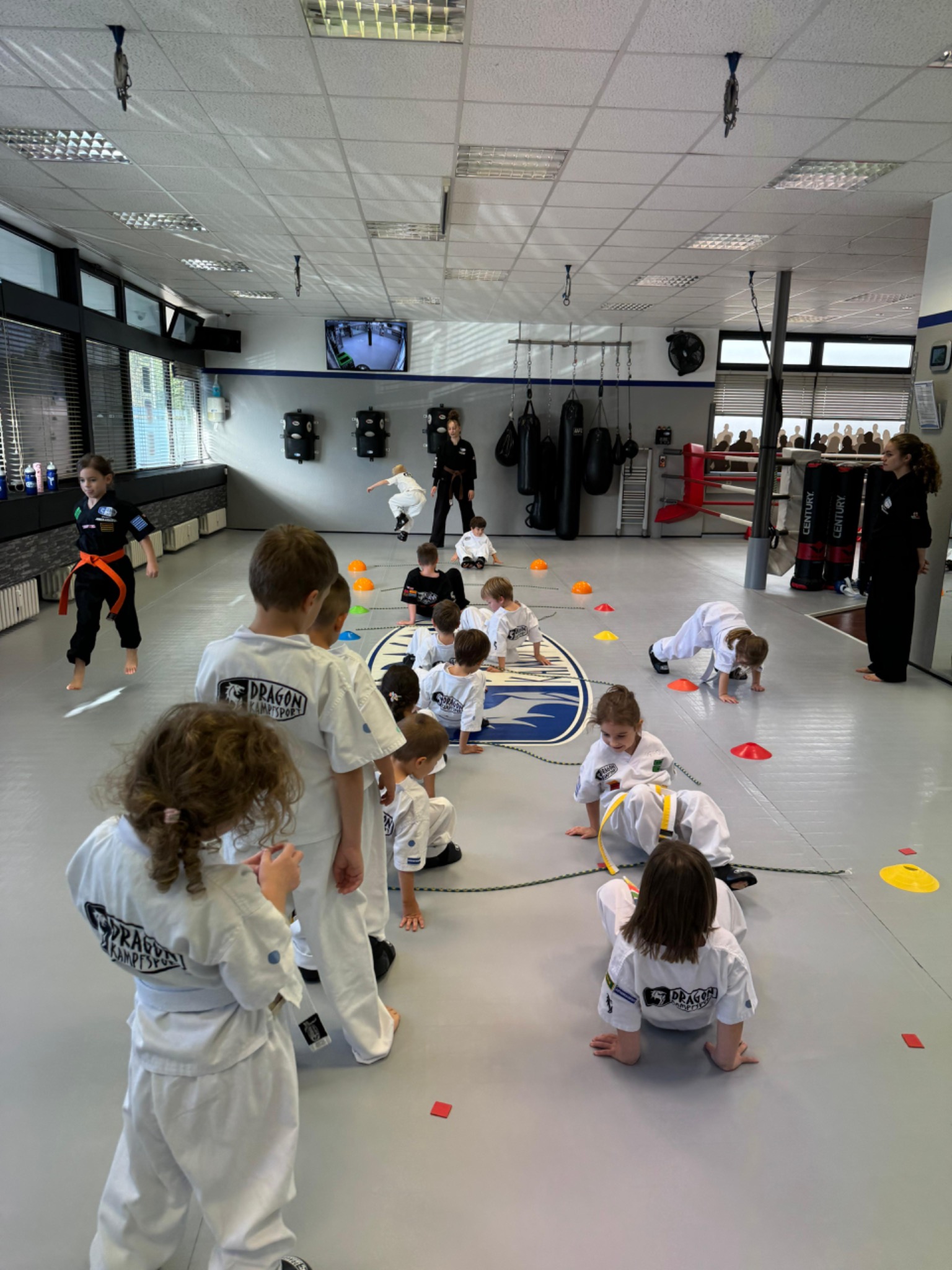 DRAGON Kampfsport Center Facebook ad