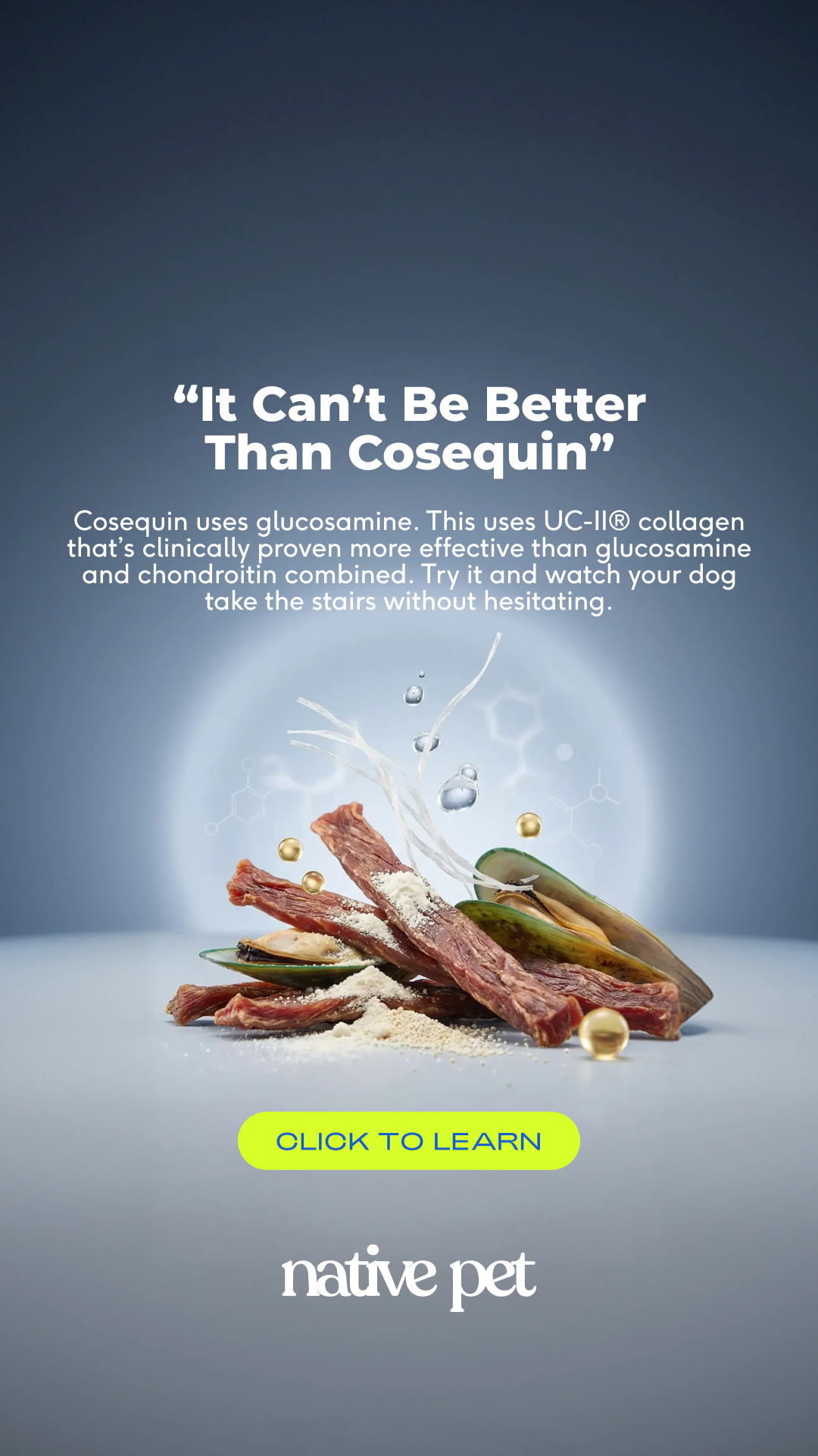 Native Pet Facebook ad
