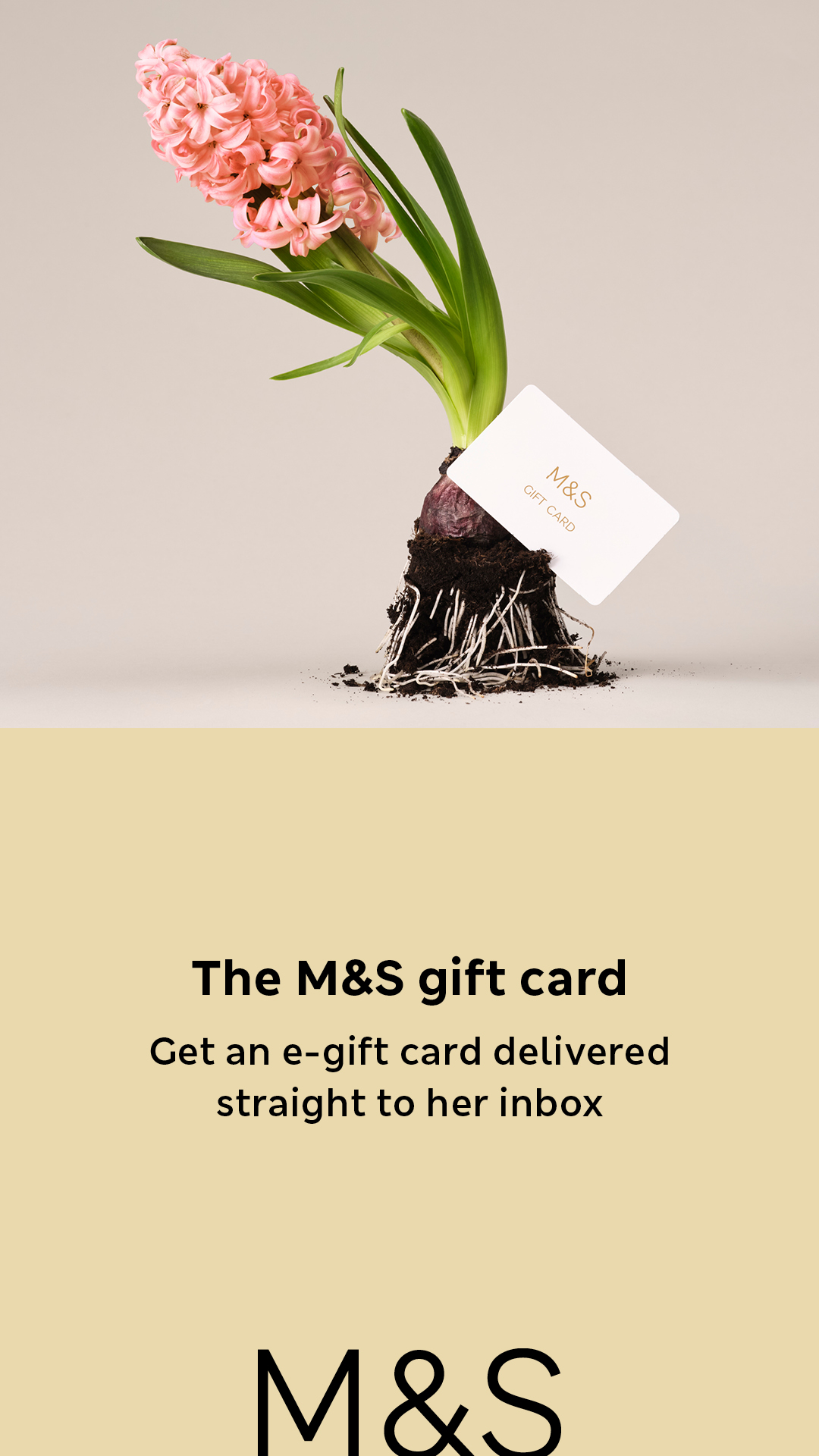 Marks and Spencer Facebook ad