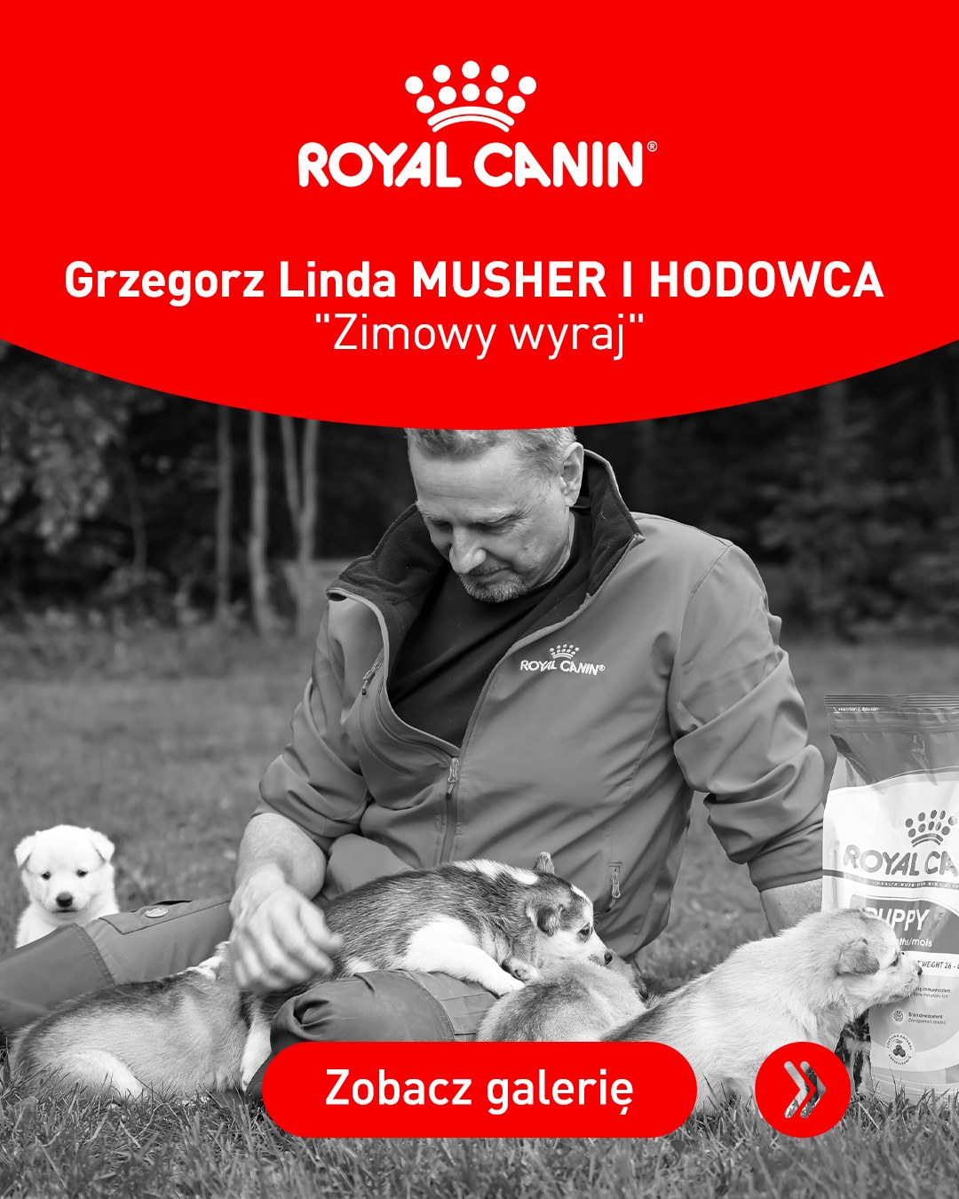 Royal Canin Facebook ad: Choć pod opieką Grzegorza dorasta wiele psów, każde…