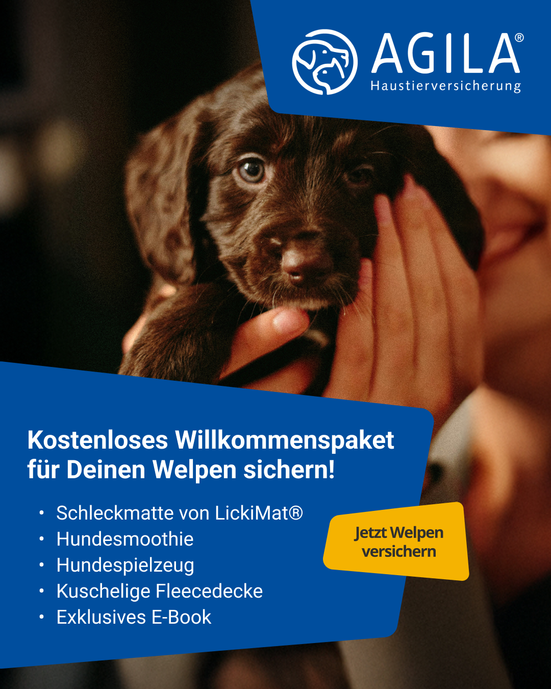 AGILA Haustierversicherung Facebook ad