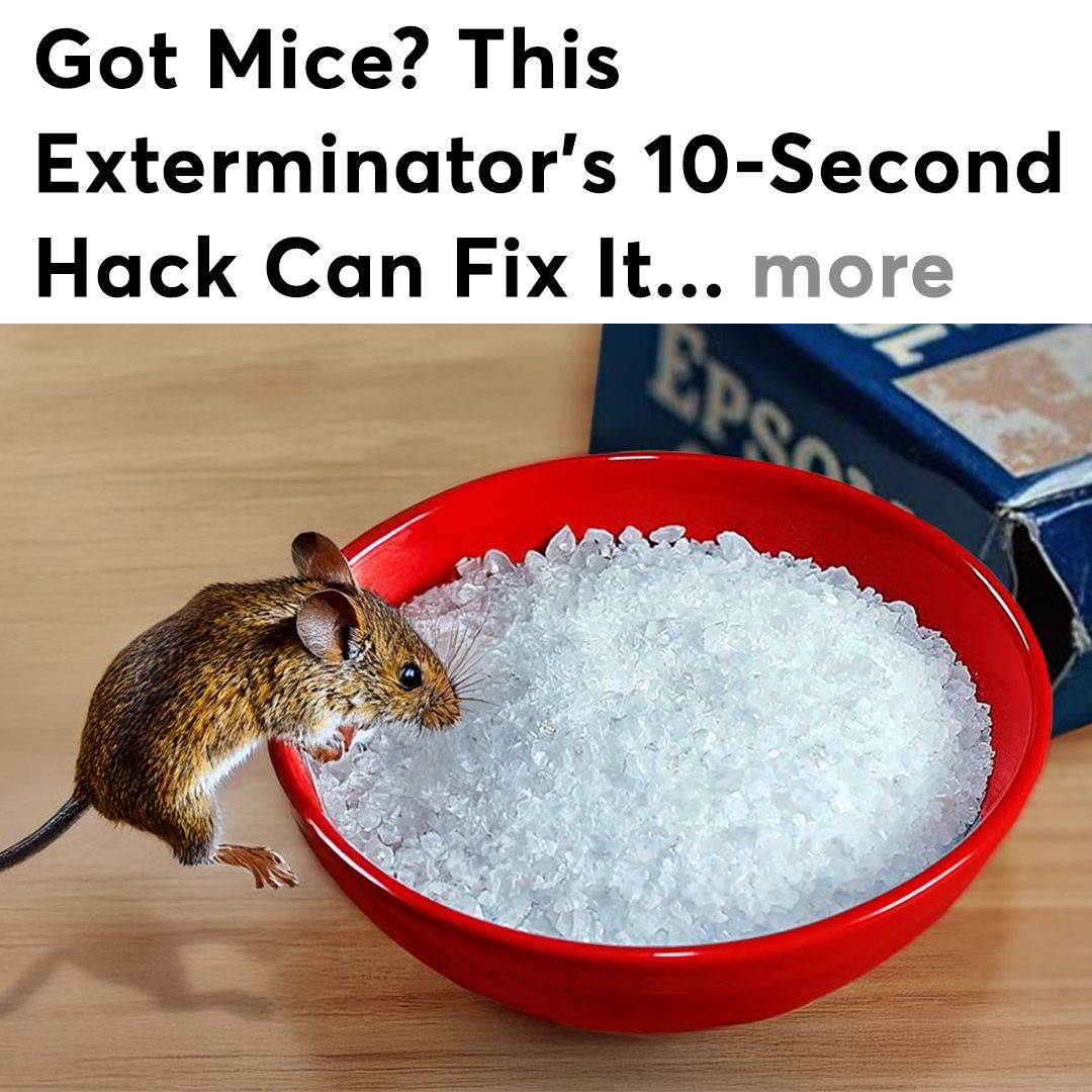 Mice Secrets Facebook ad