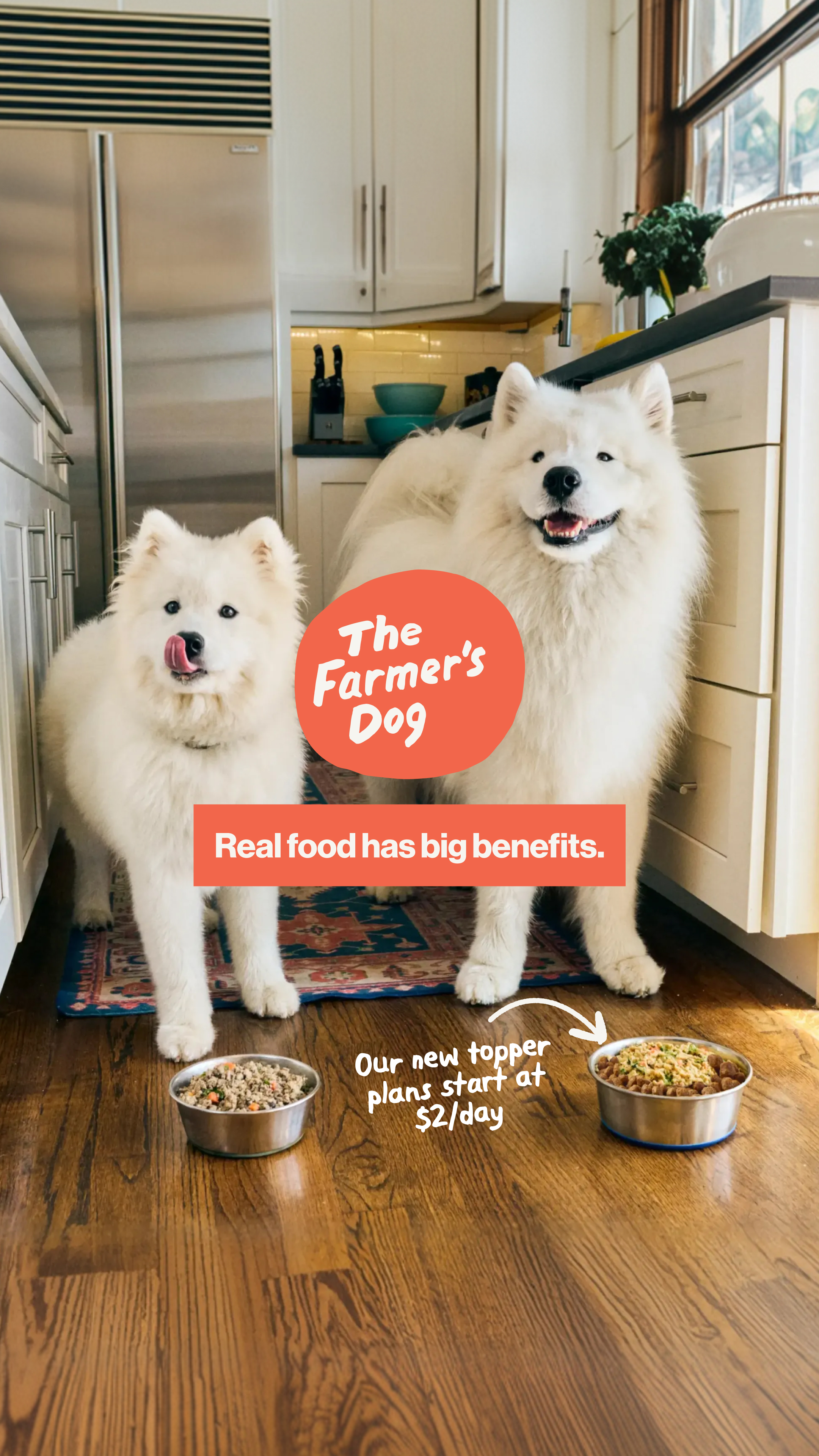 The Farmer's Dog Facebook ad
