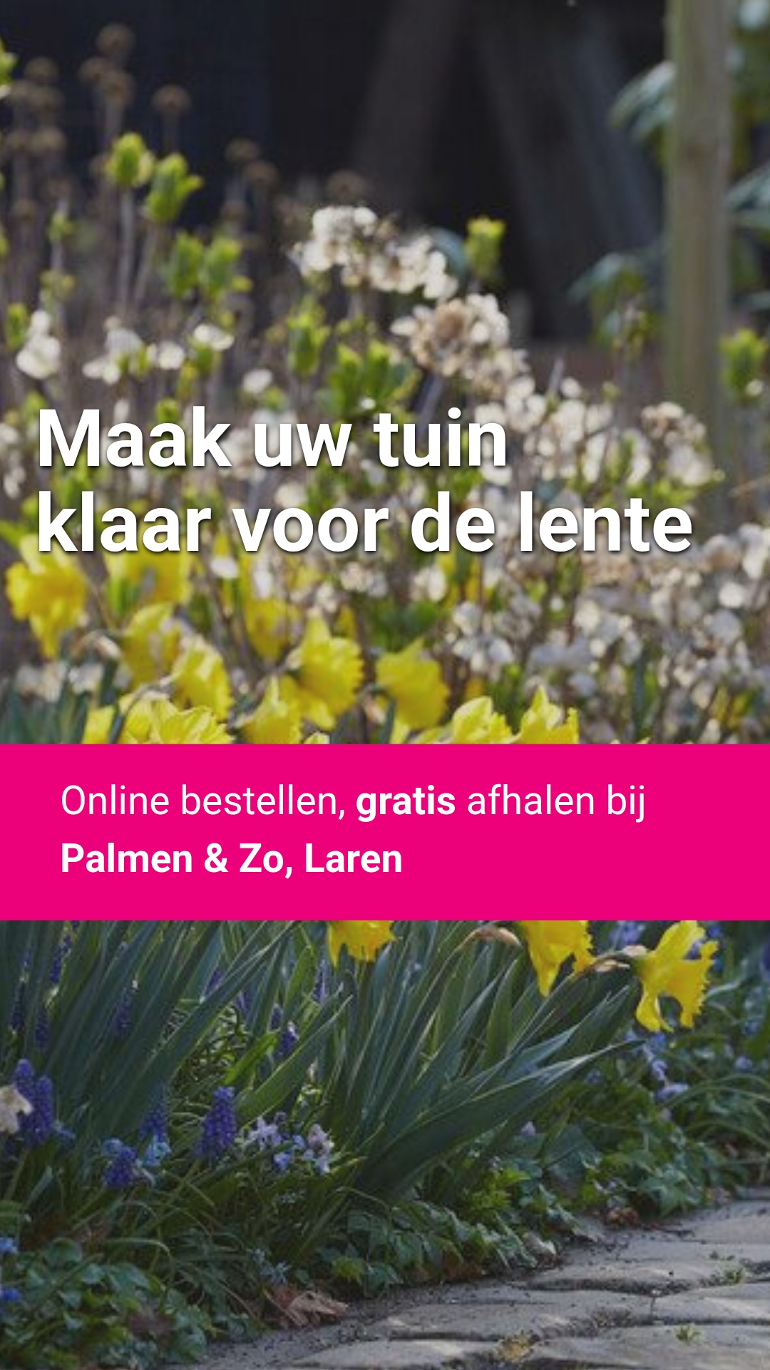 Directplant Facebook ad