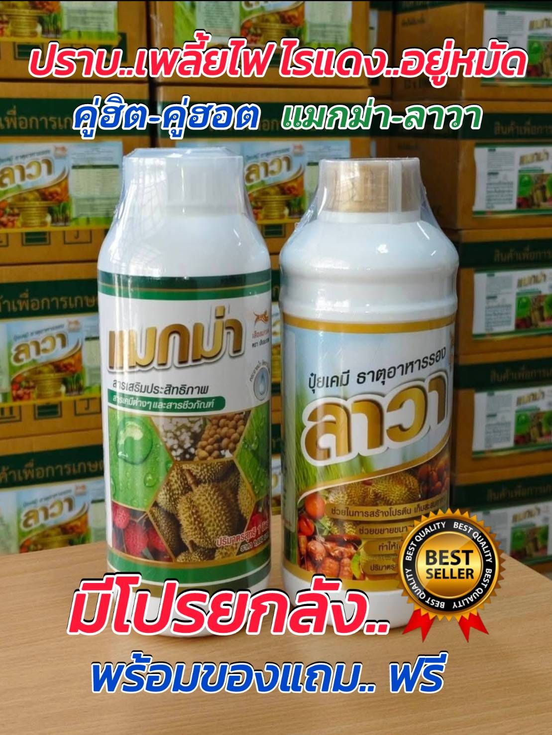 แมกม่า ลาวา เพลี้ยไฟ ไรแดง เพลี้ยแป้ง เพลี้ยจั๊กจั่น โทร.0635867516 Facebook ad: สวนใหญ่ใช้เยอะแนะนำโปร ครับ