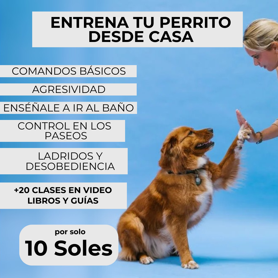 Dra. Sara Vega Facebook ad