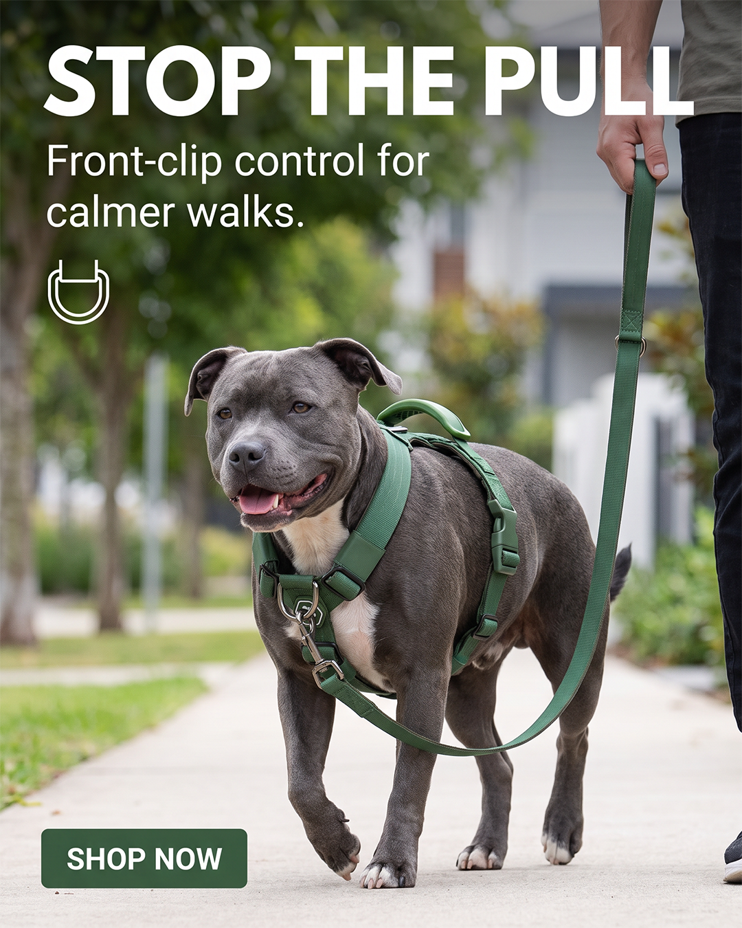 Spark Paws Facebook ad