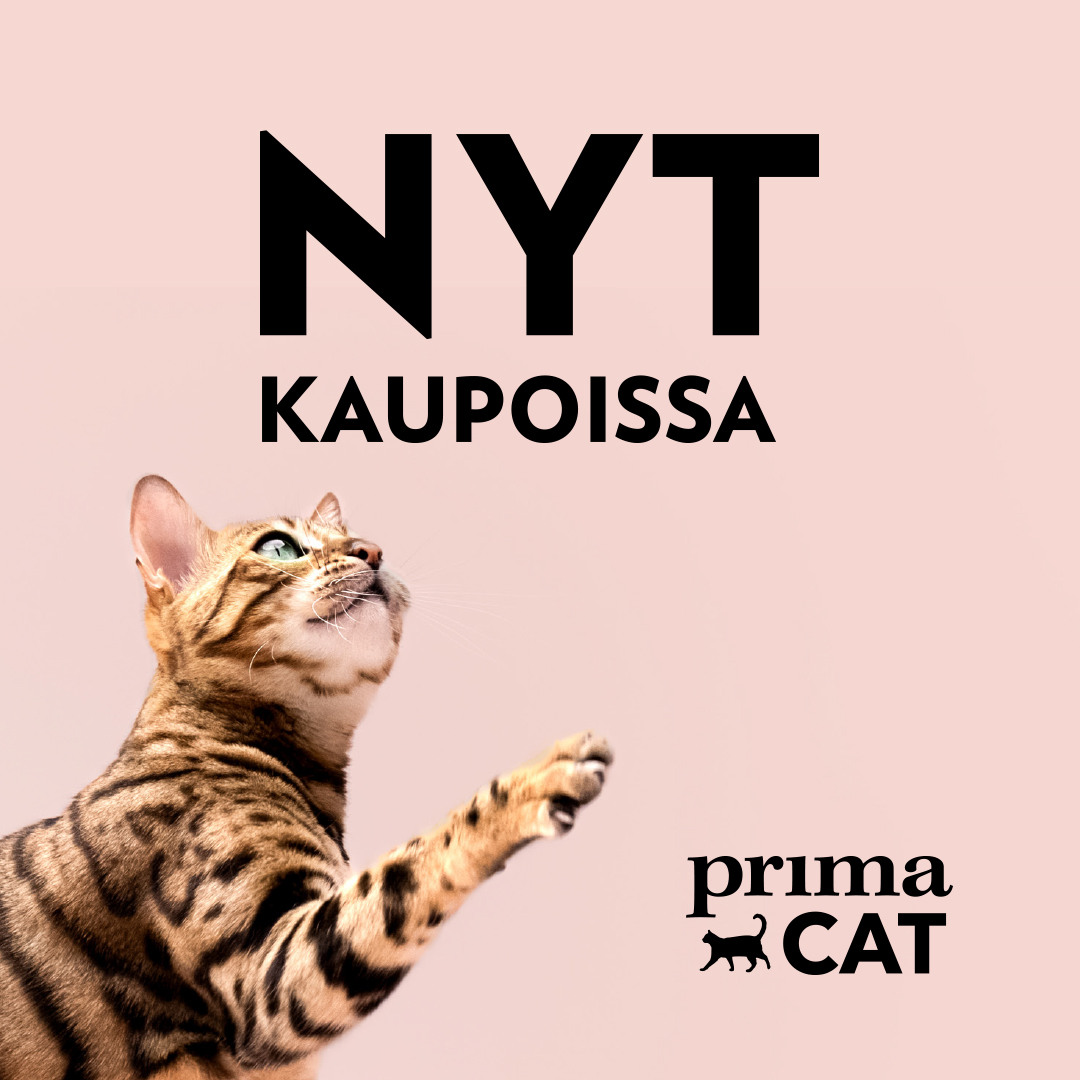 PrimaCat Suomi Facebook ad: Isot pakkaukset PrimaCatin suosikkituotteista ovat…