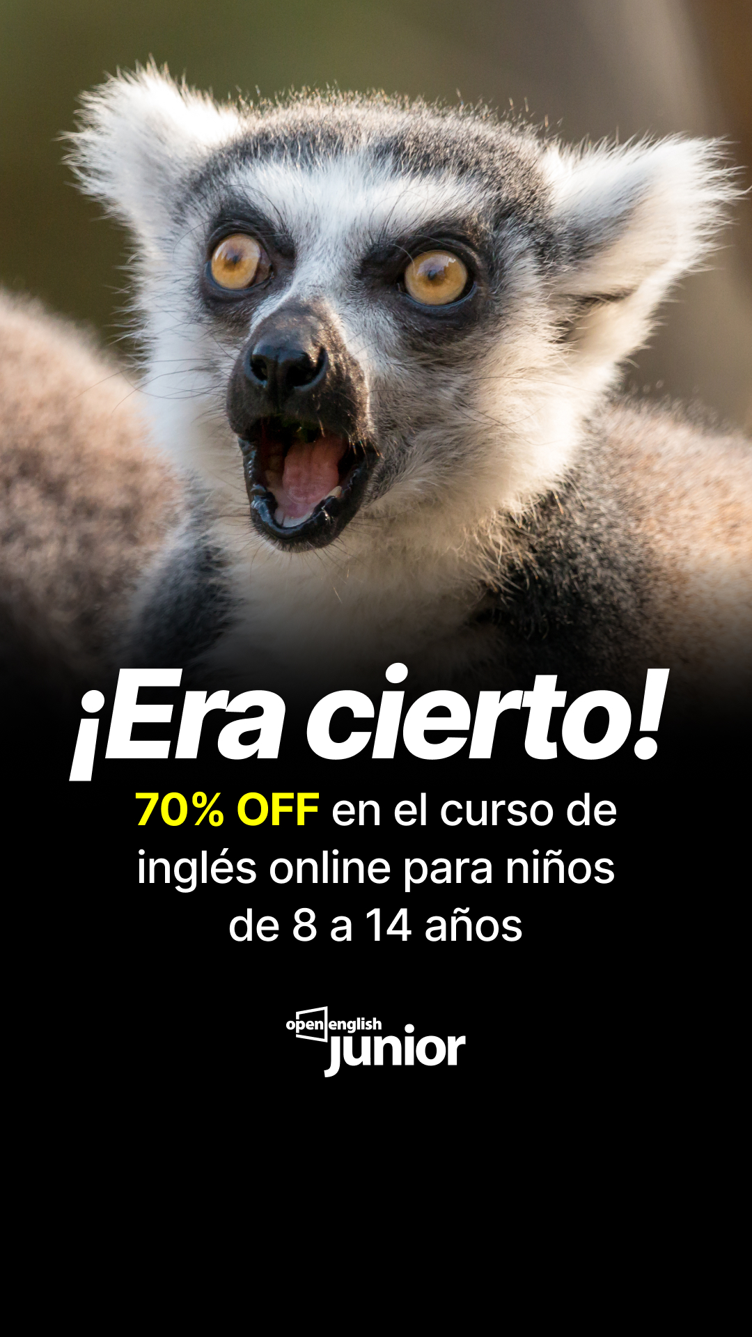 Open English Junior Facebook ad