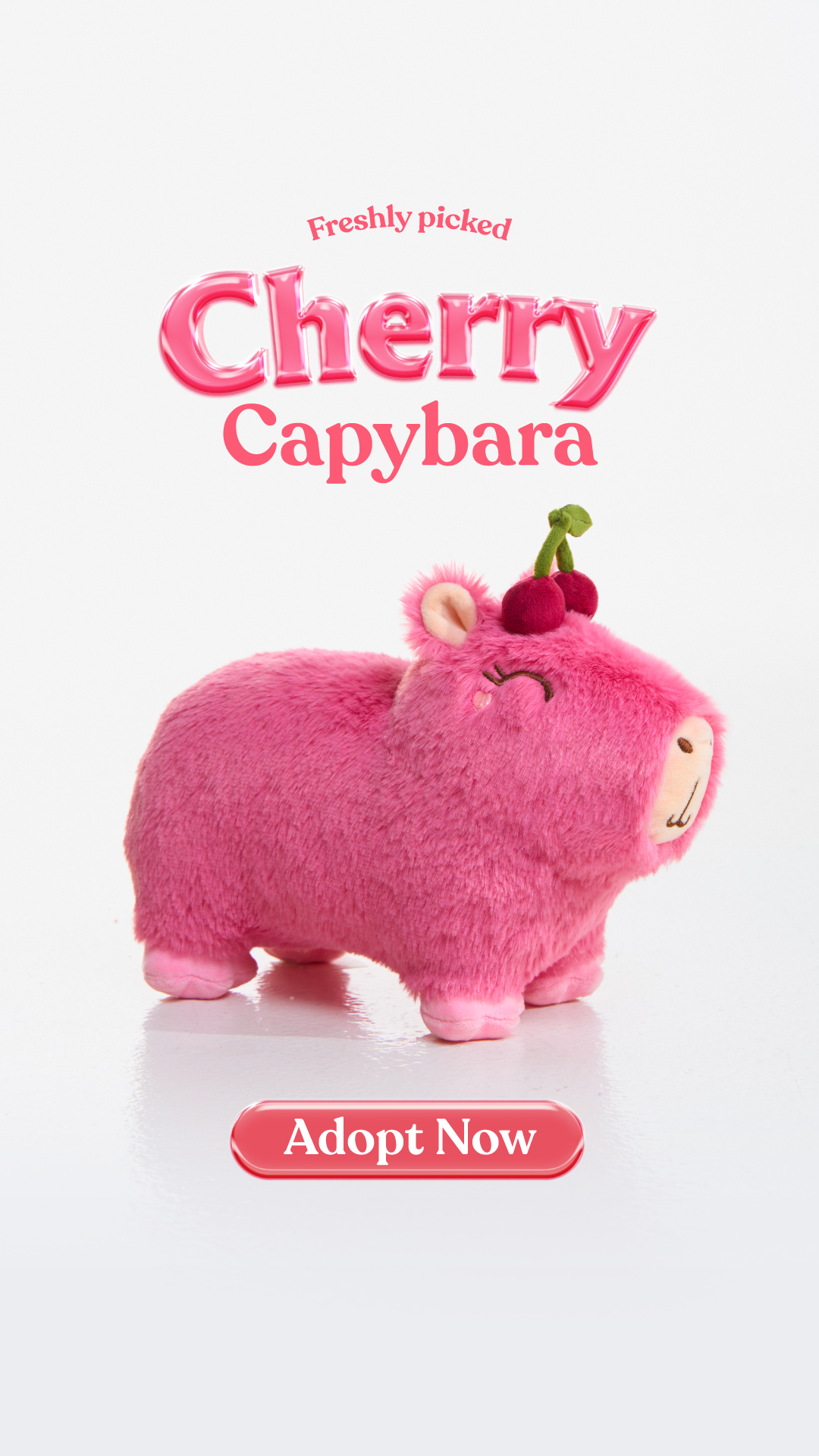 CAPY ERA Facebook ad