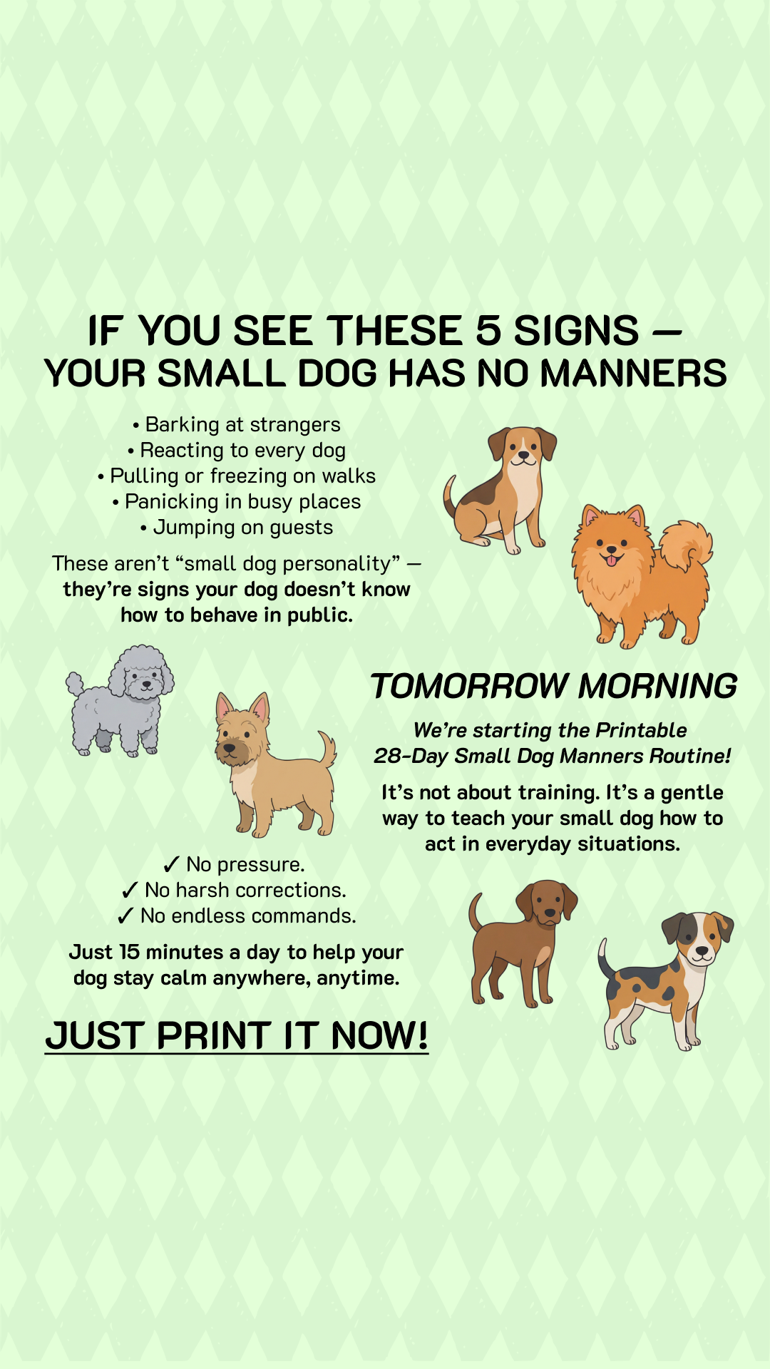 Lionel Carter Facebook ad: Start Small Dog Manners Routine