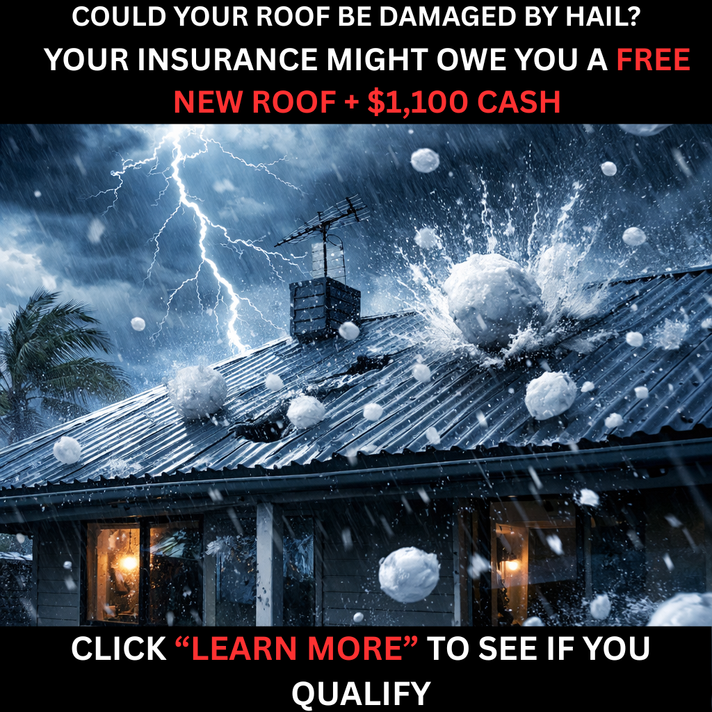 Dragon Roof Restoration Facebook ad
