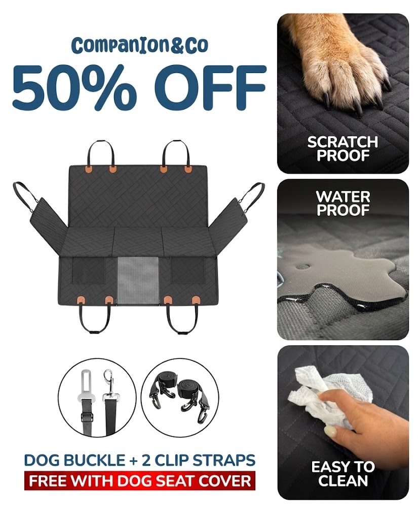 Companion&Co Facebook ad