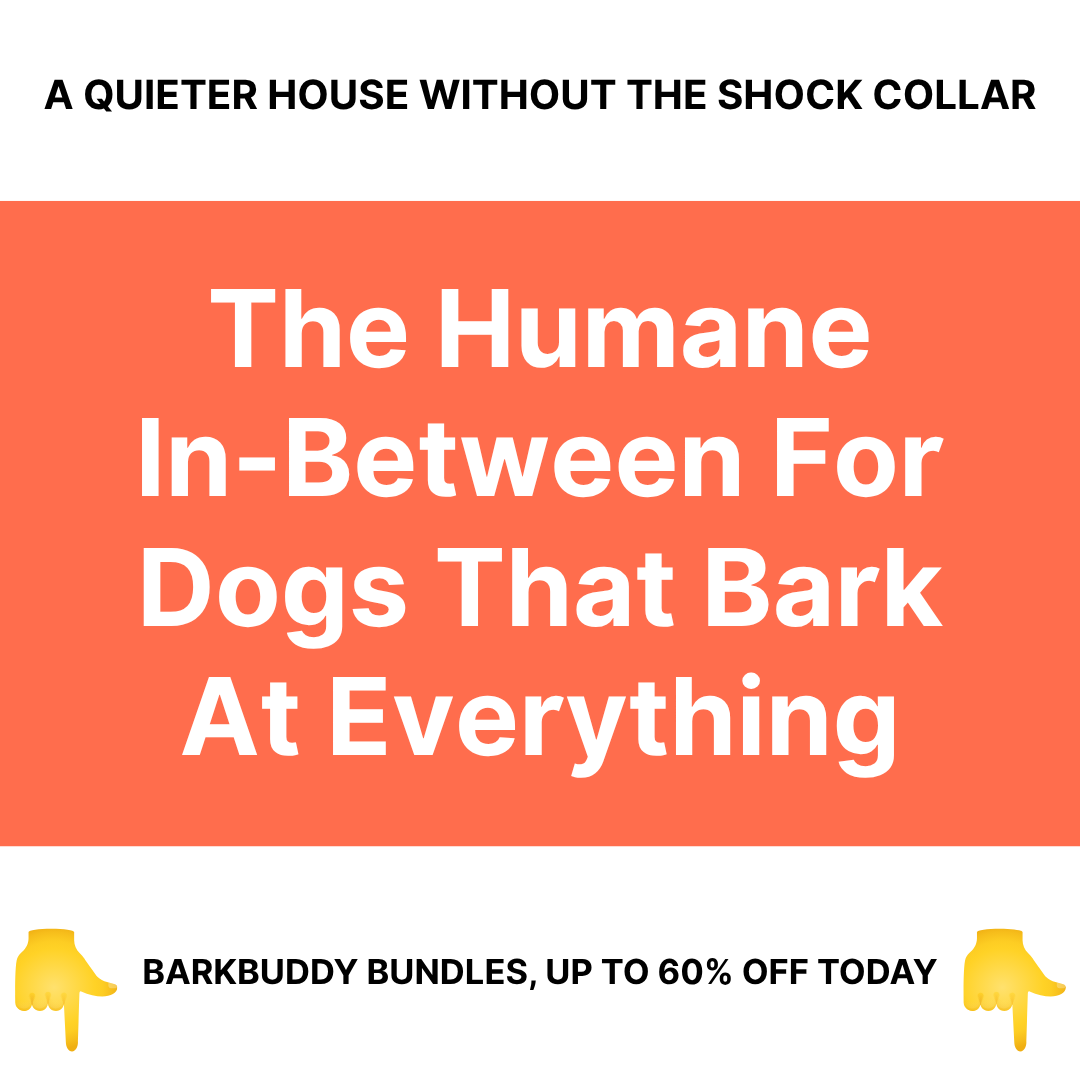 Canine Corner Australia Facebook ad