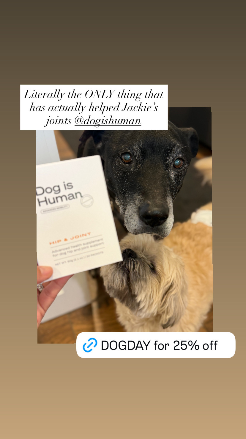 Dog is Human Facebook ad