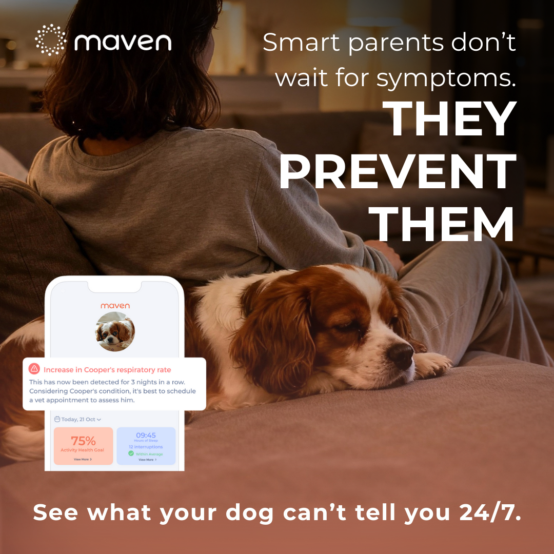 Maven Pet Facebook ad