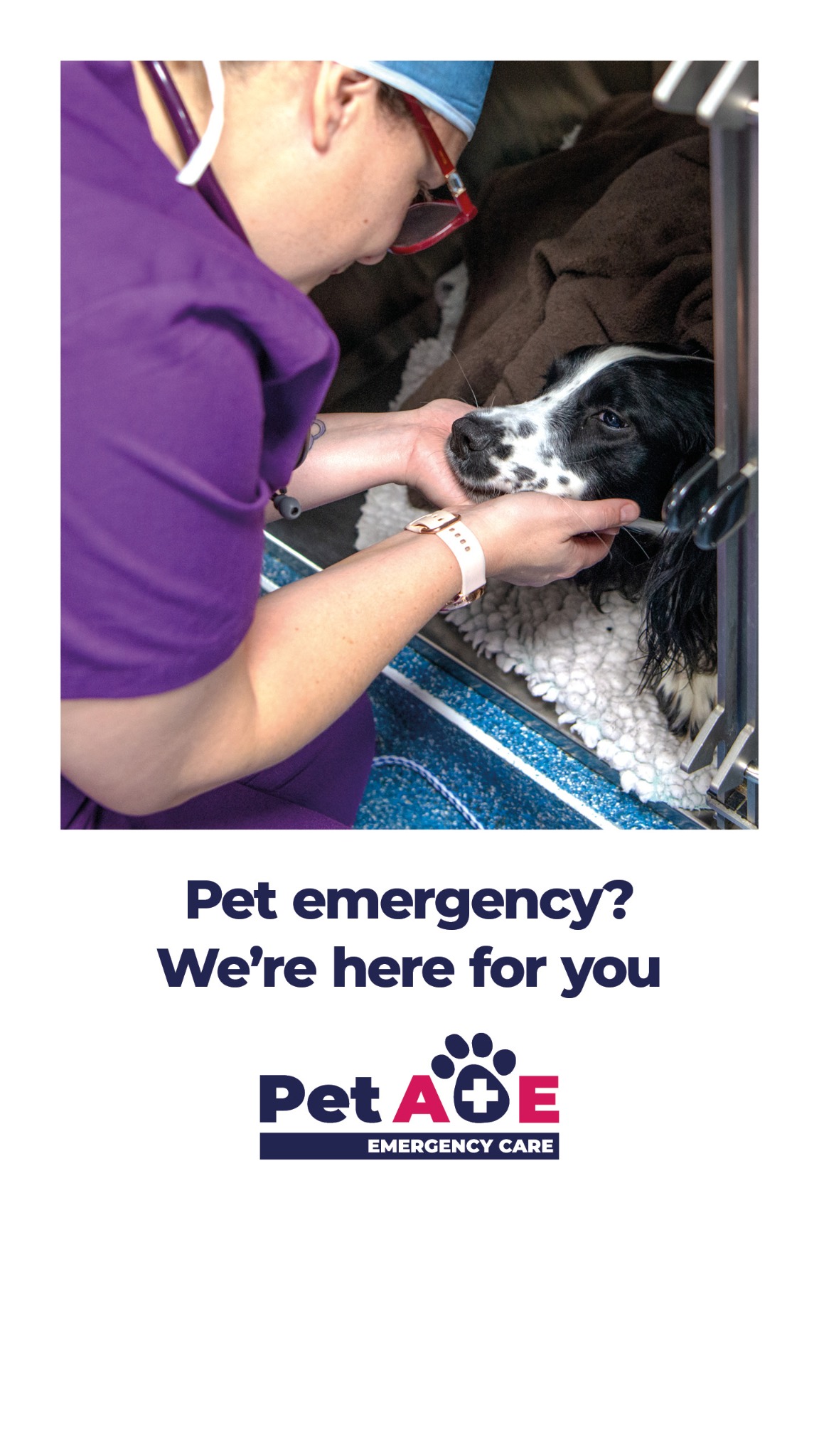Animal Trust Vets Facebook ad