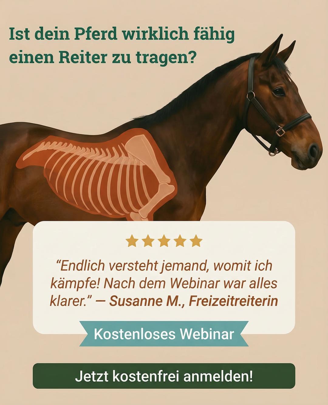 Pferdereha Friesland - Antje Wirtz Facebook ad
