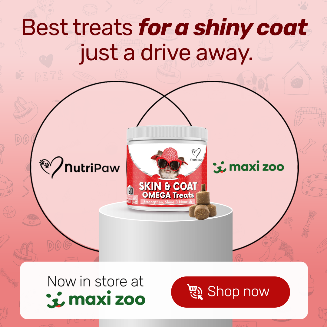 Nutri Paw Facebook ad
