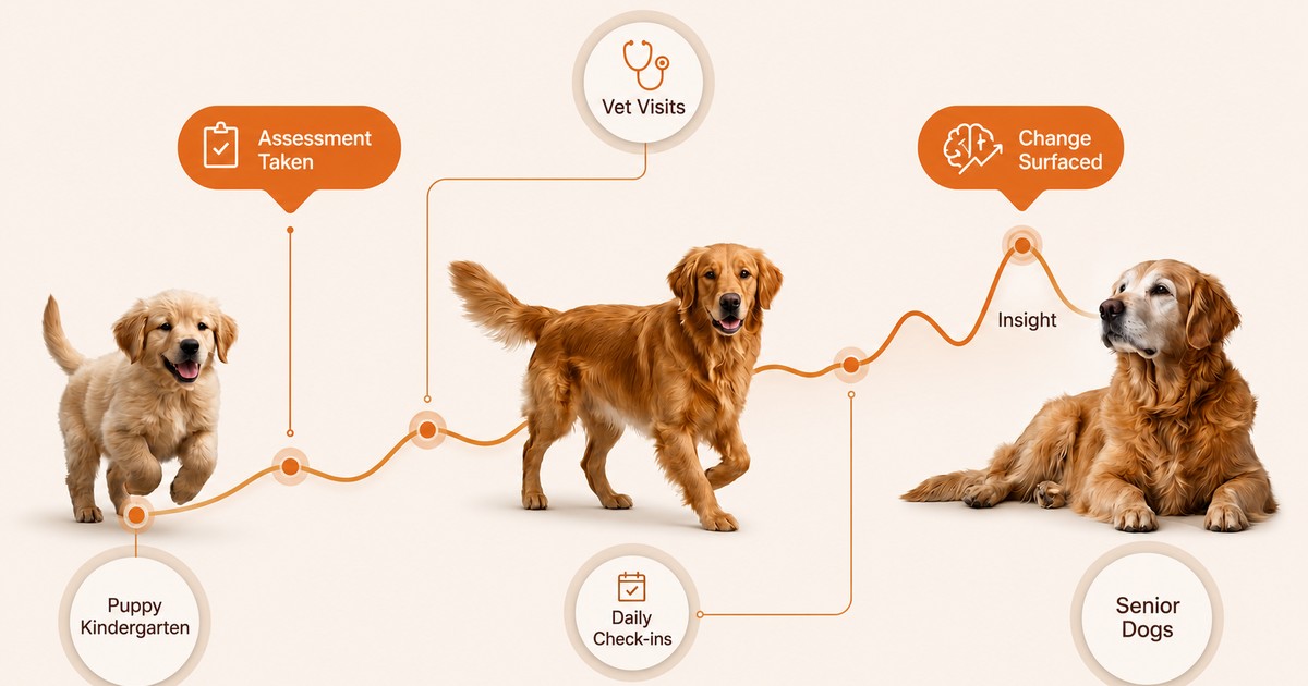 Dognition Facebook ad