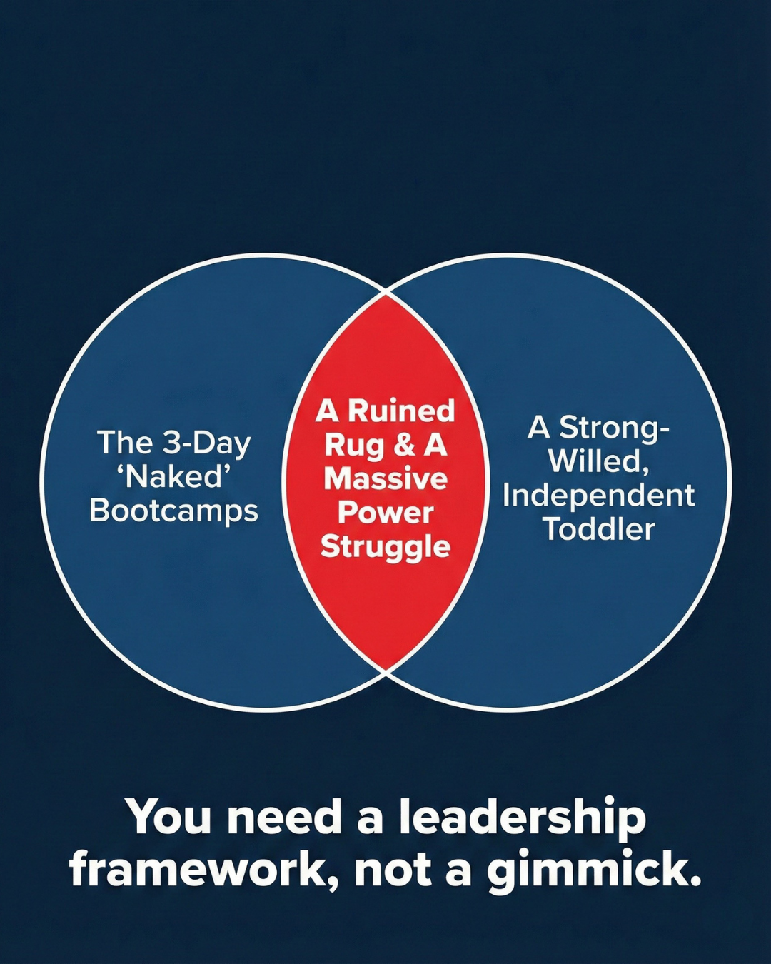 Parenting Leader Facebook ad