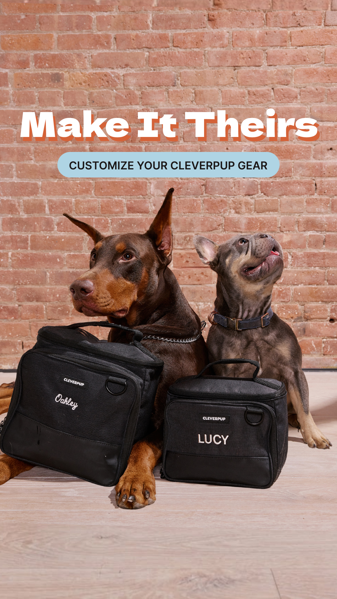 Cleverpup Facebook ad