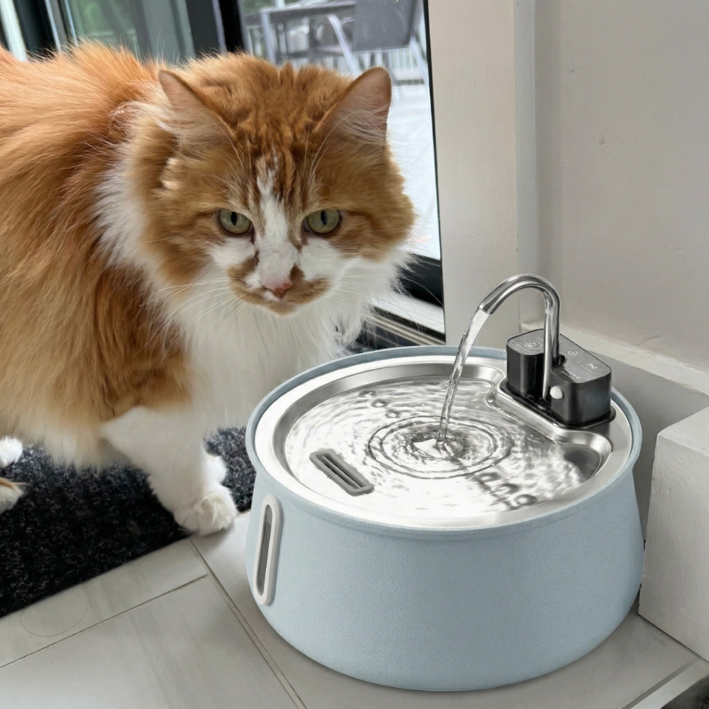 KittySpout Facebook ad