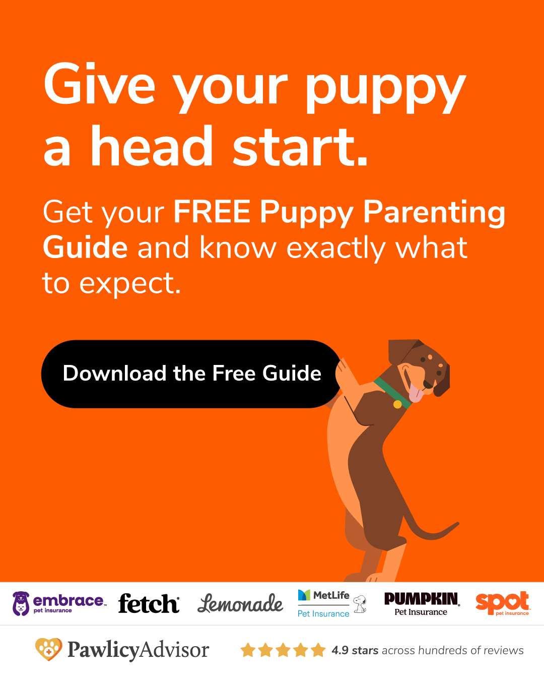 Pawlicy Advisor Facebook ad