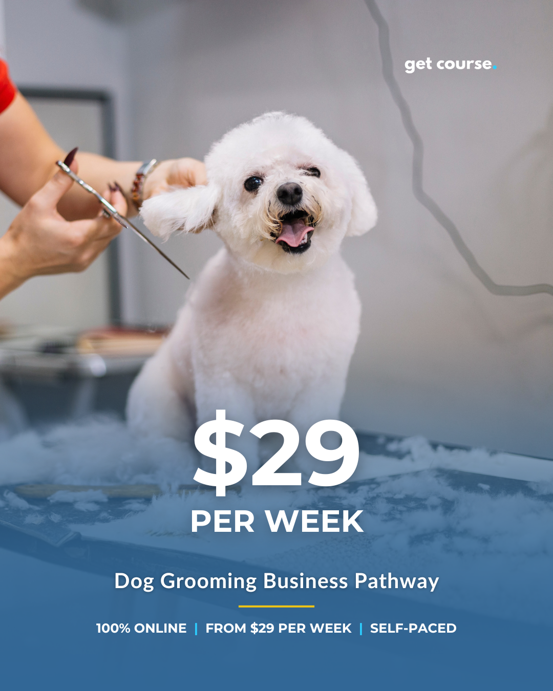 Get Course Co Facebook ad