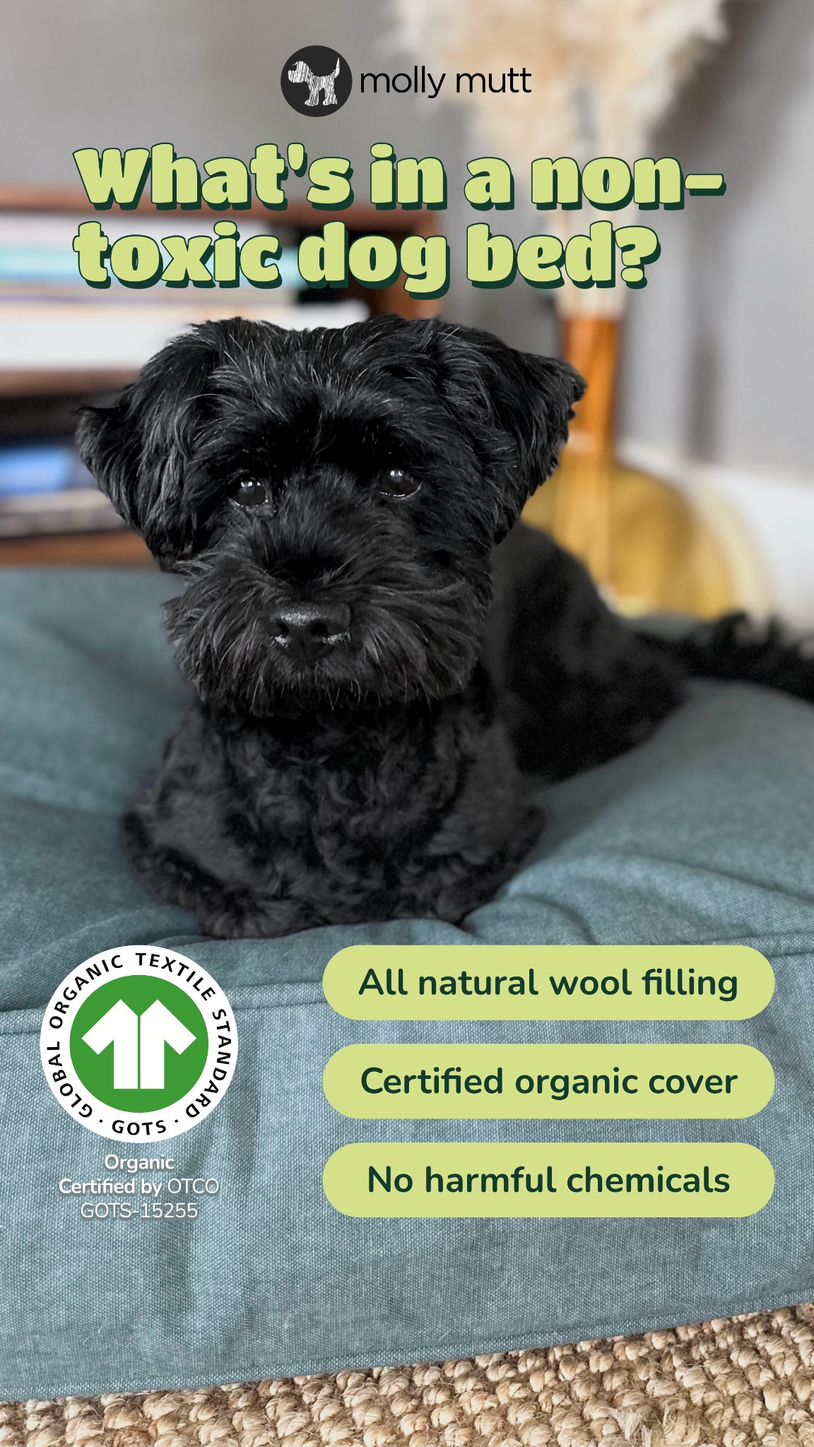Molly Mutt Facebook ad