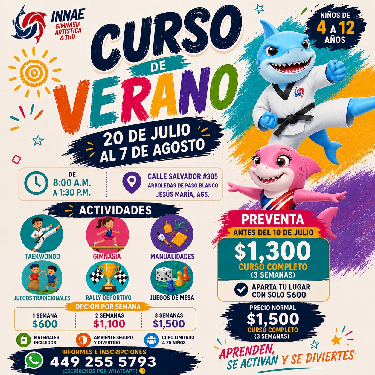 INNAE TKD Oficial Facebook ad: ¡LLEGÓ EL CURSO DE VERANO INNAE 2026!