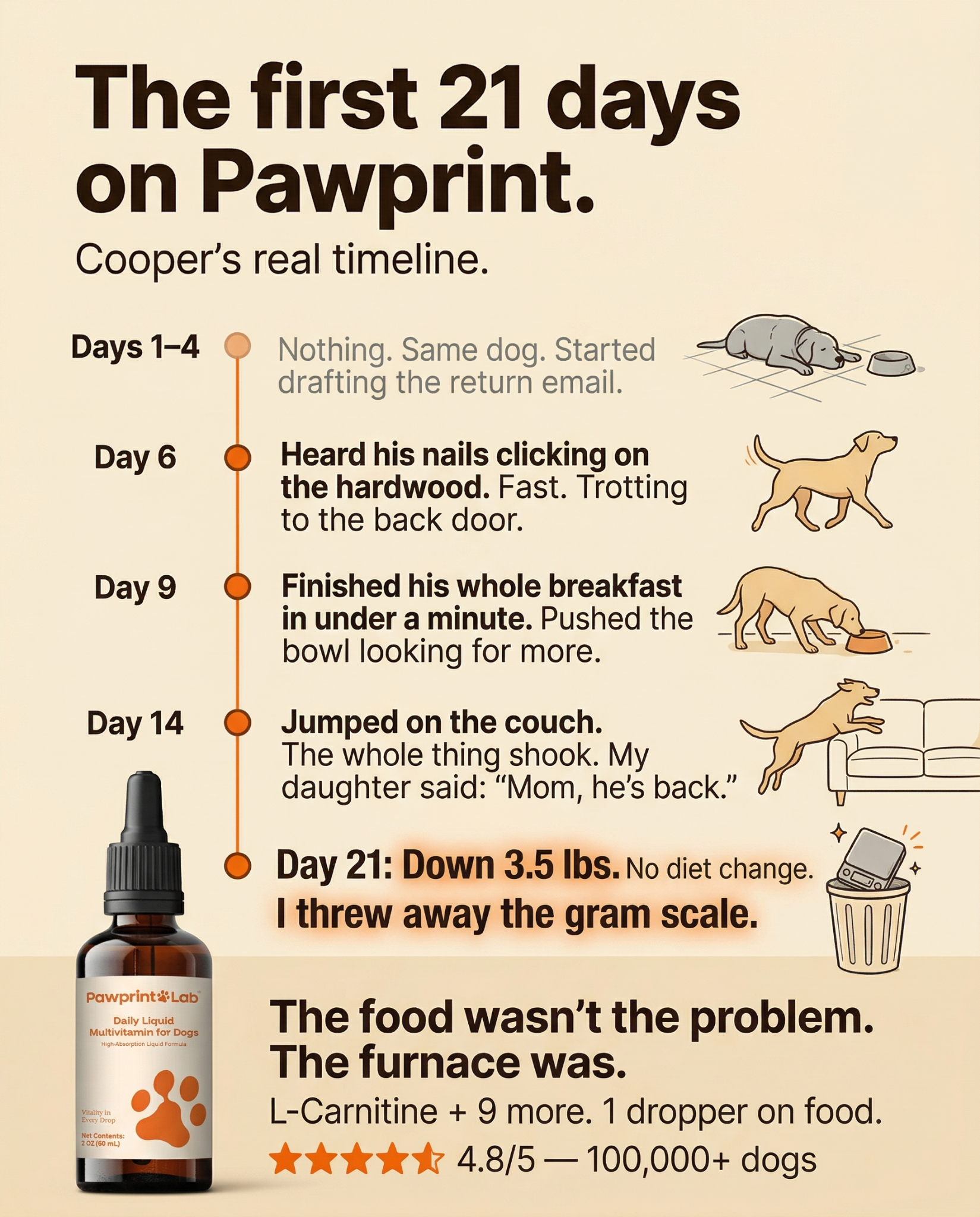 Vet-Approved Pet Products Facebook ad