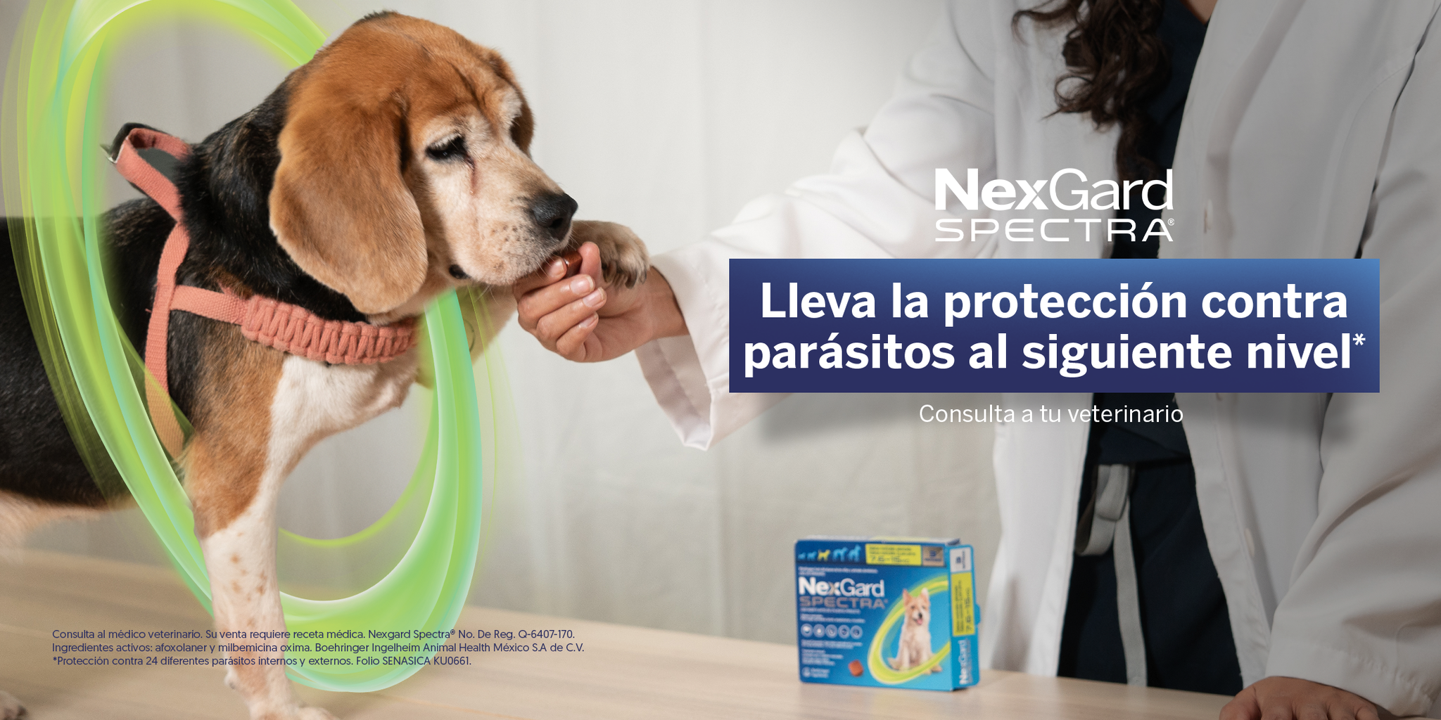 NexGard México Facebook ad