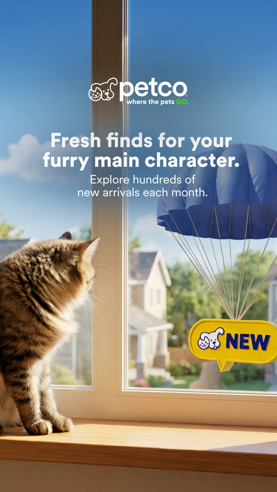 Petco Facebook ad