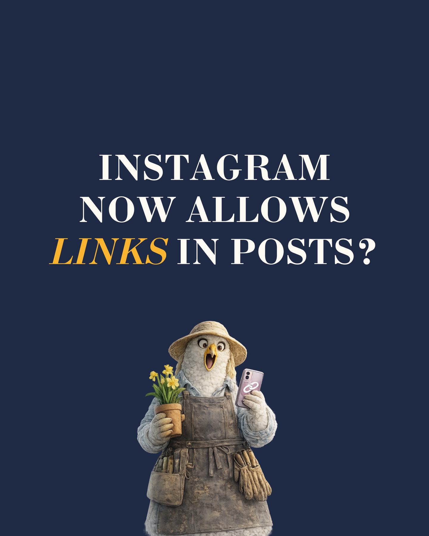 Secret Insta Club Facebook ad