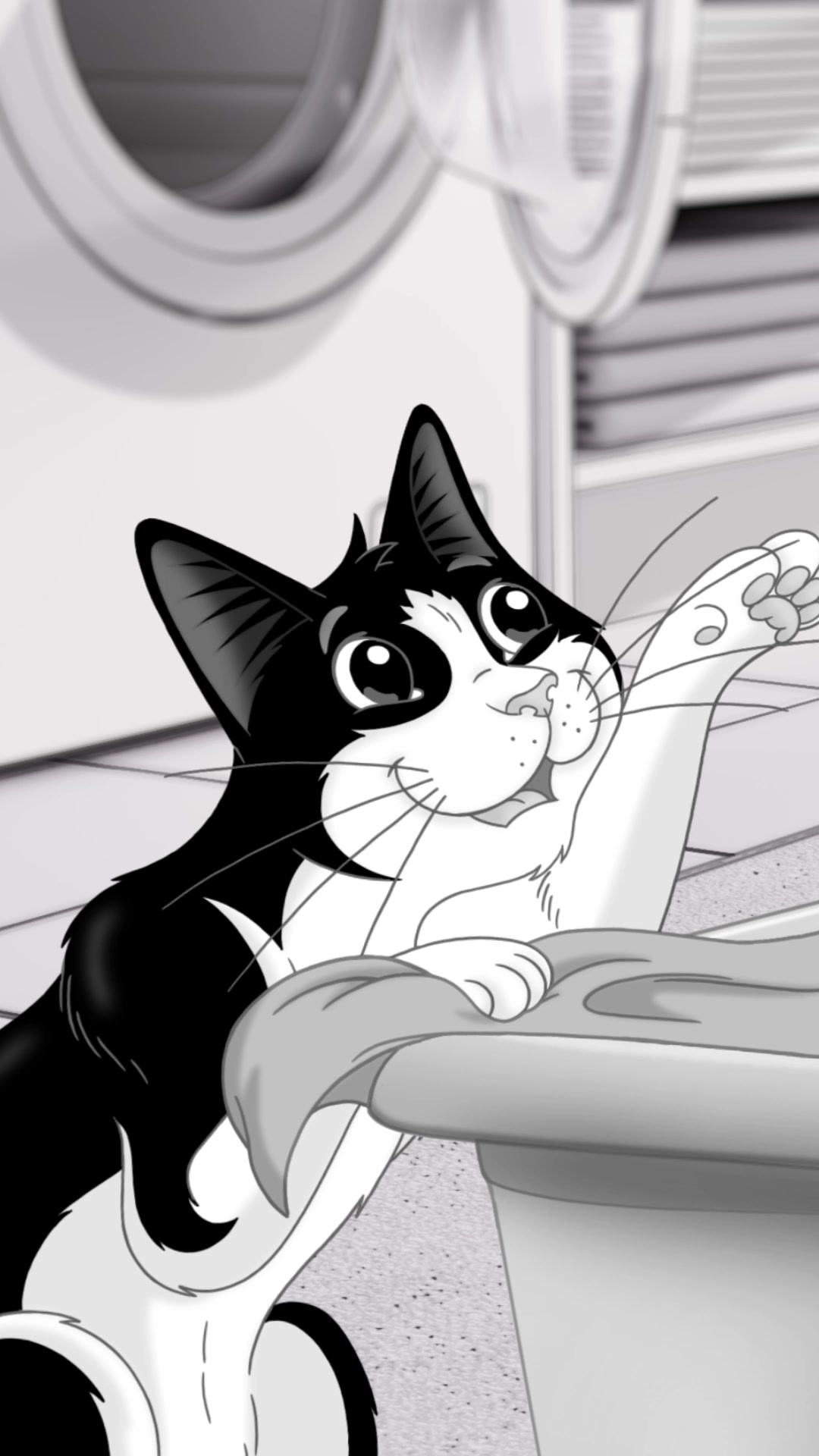 Purina FELIX Facebook ad from Aug 26, 2026
