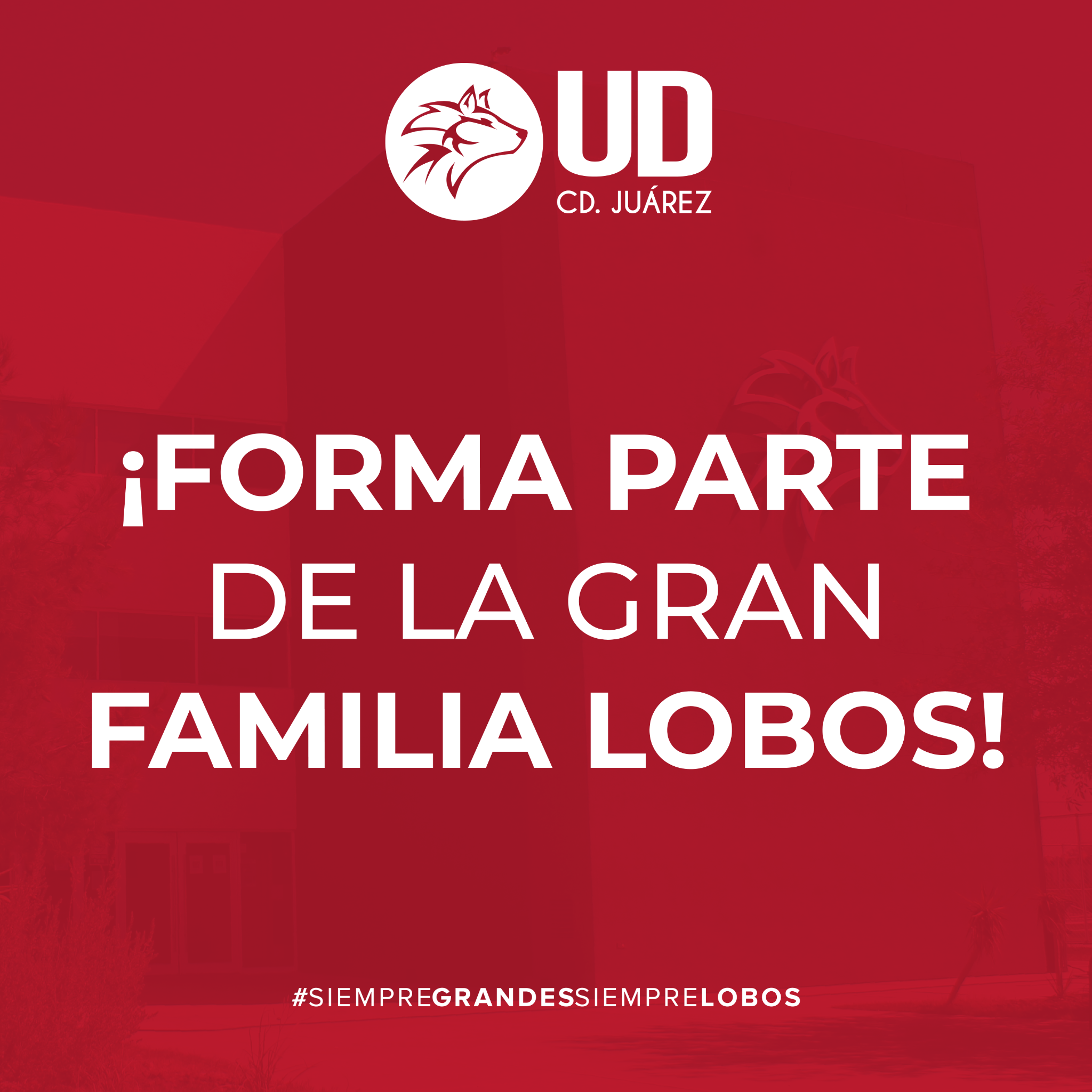 Universidad De Durango Campus Juárez Facebook ad: ¡Estudia en la Universidad de Durango, campus Cd.