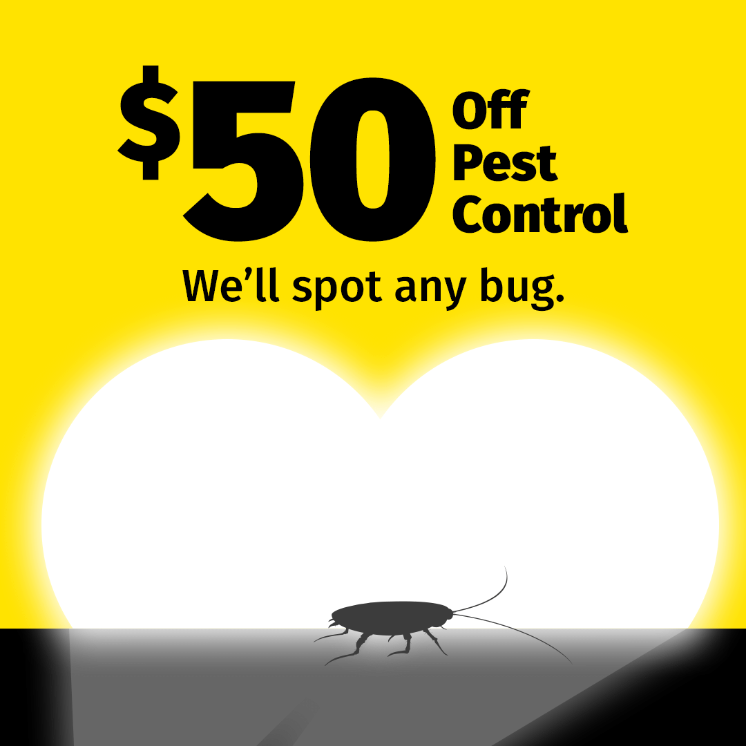 Truly Nolen Pest & Termite Control Facebook ad