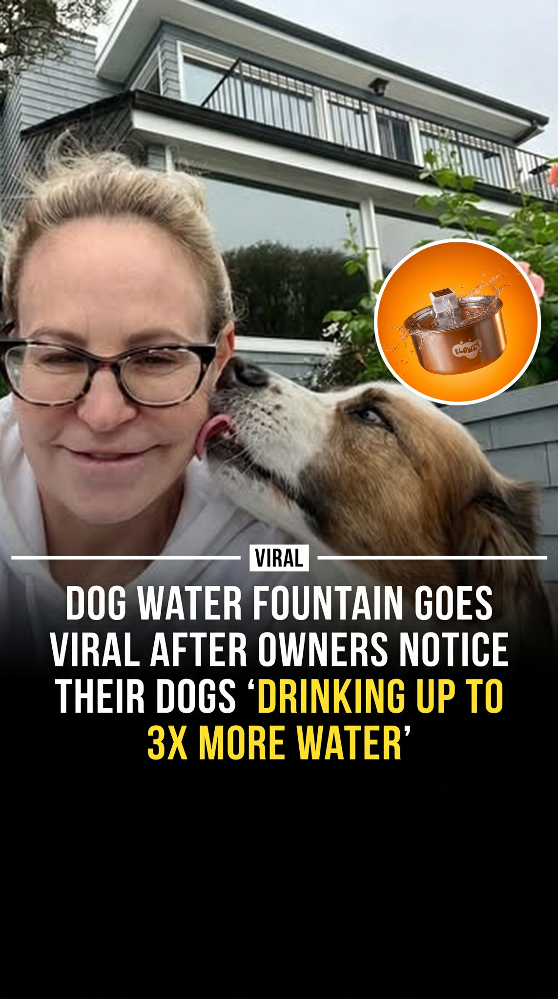 Flowzy Facebook ad