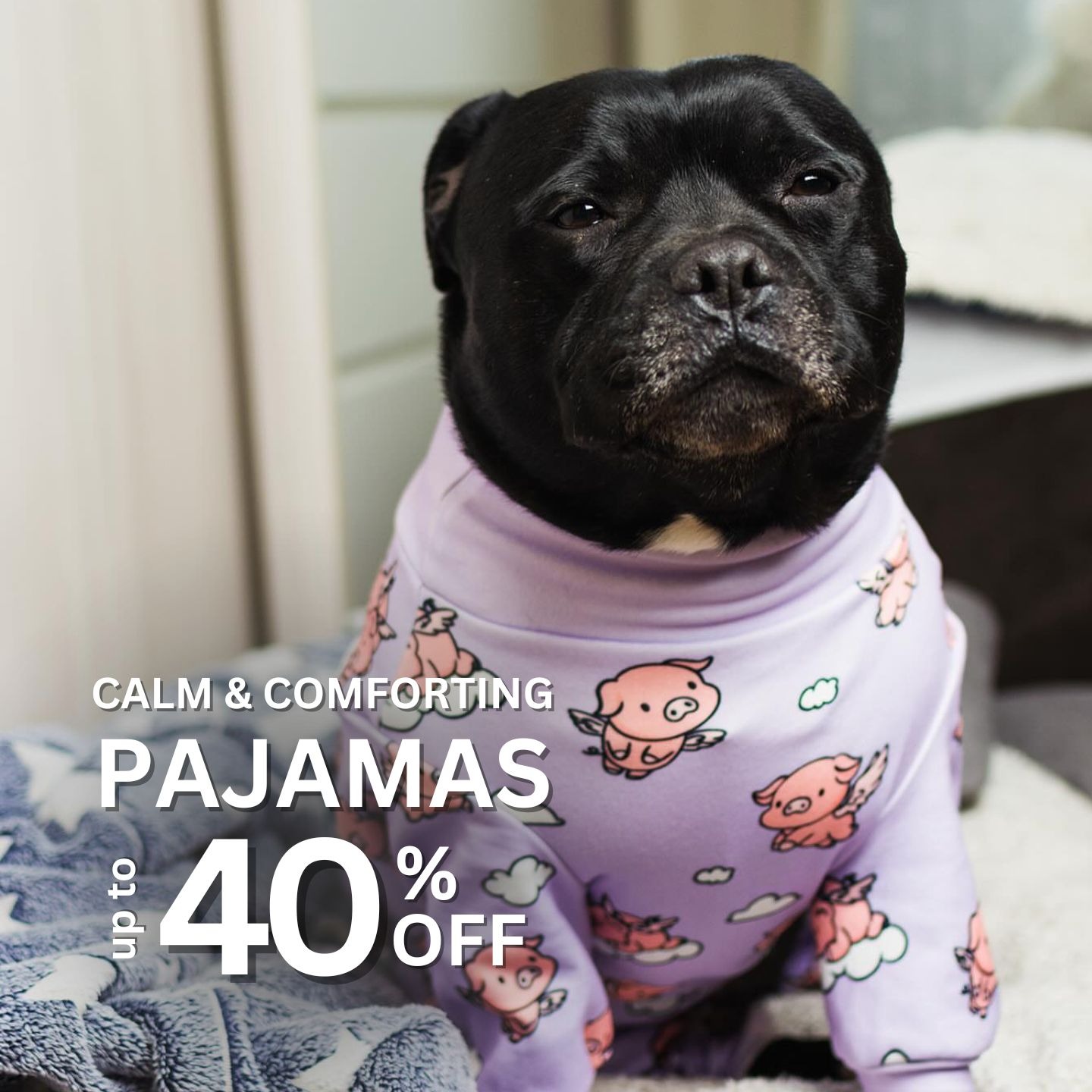Spark Paws Facebook ad