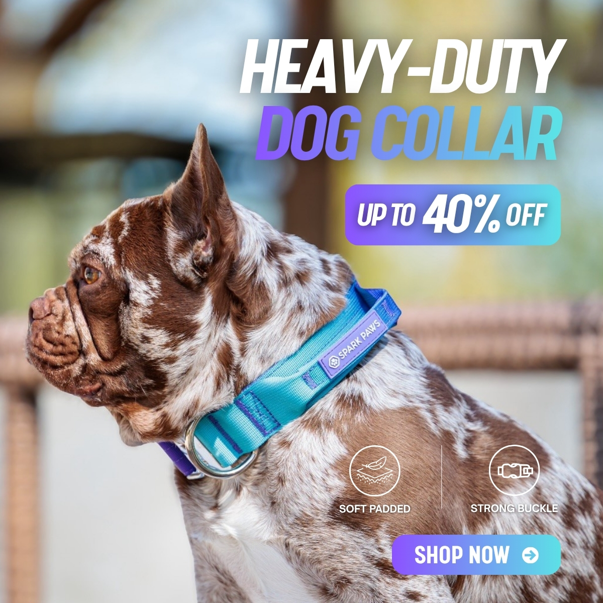 Spark Paws Facebook ad
