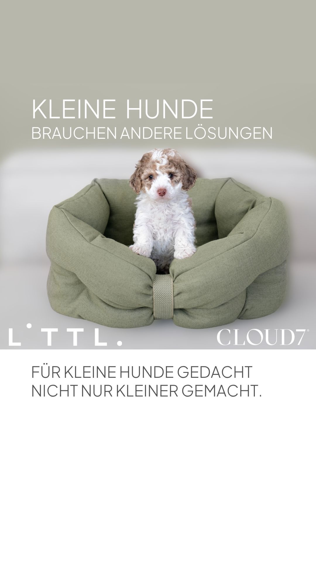 Cloud7 Facebook ad
