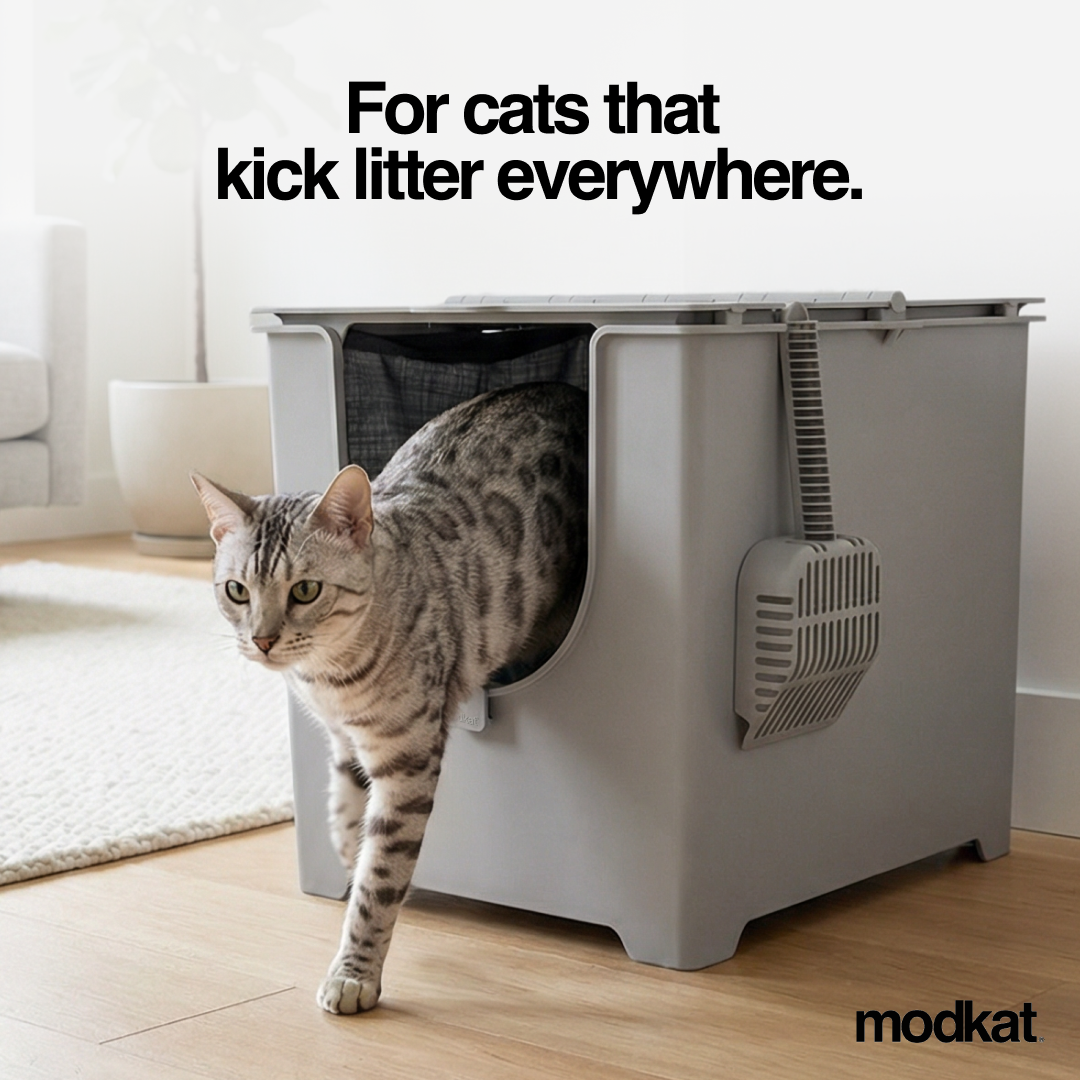 Modkat Facebook ad