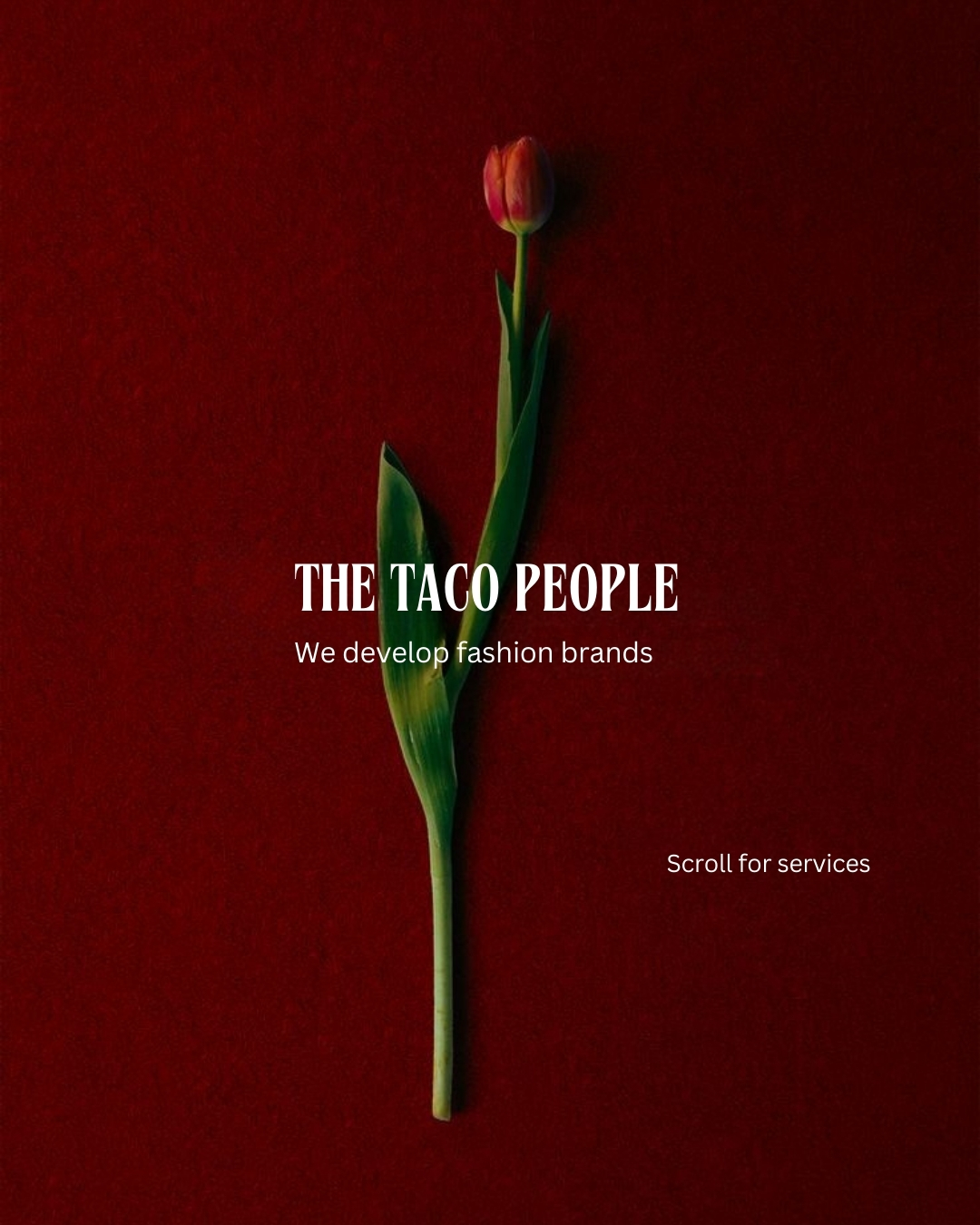 wearetacopeople Facebook ad: The Complete Fashion Growth Partner